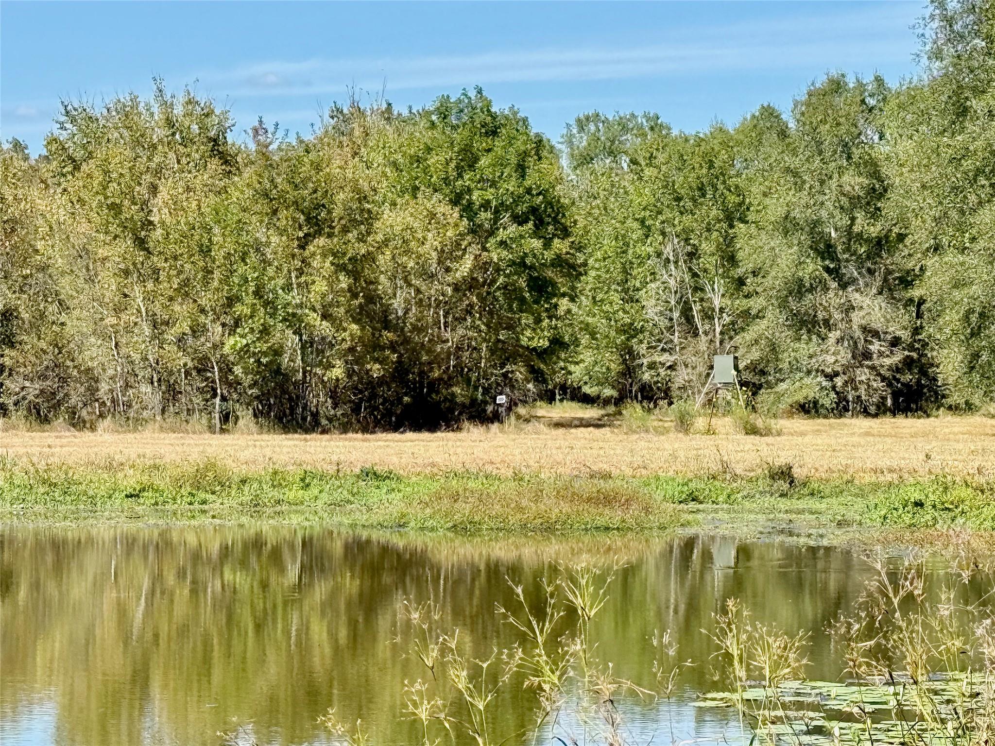 TBD County Road 4025, Lovelady, TX 75851