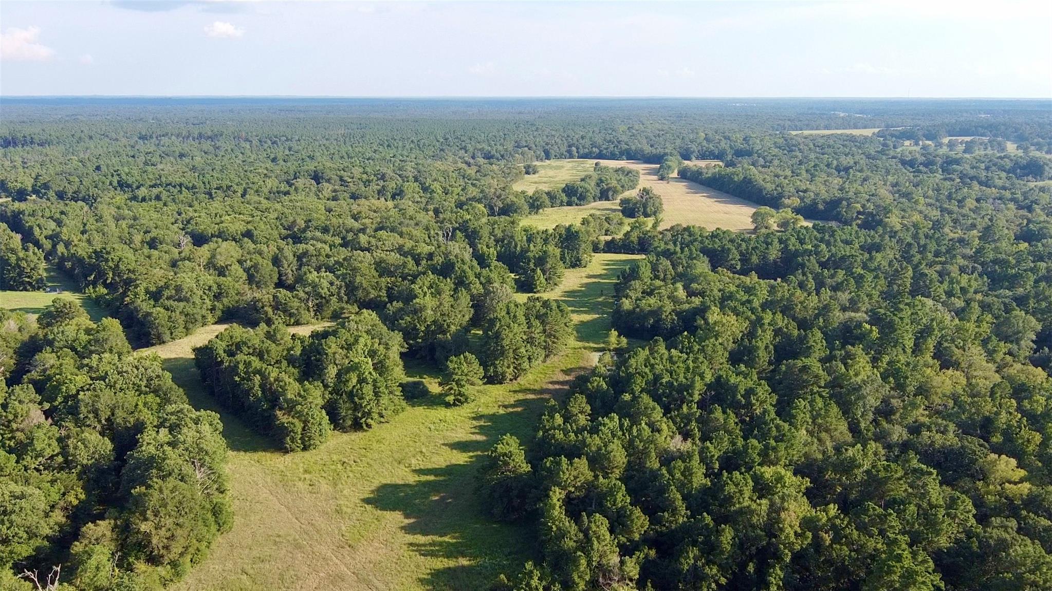 TBD County Road 4025, Lovelady, TX 75851