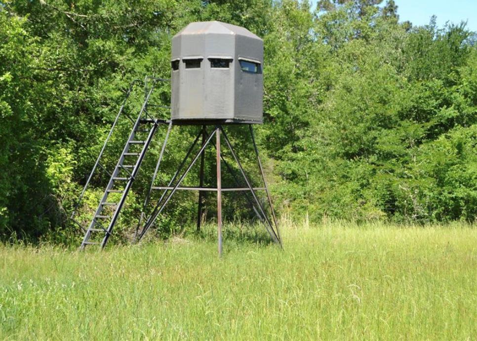 TBD County Road 4025, Lovelady, TX 75851