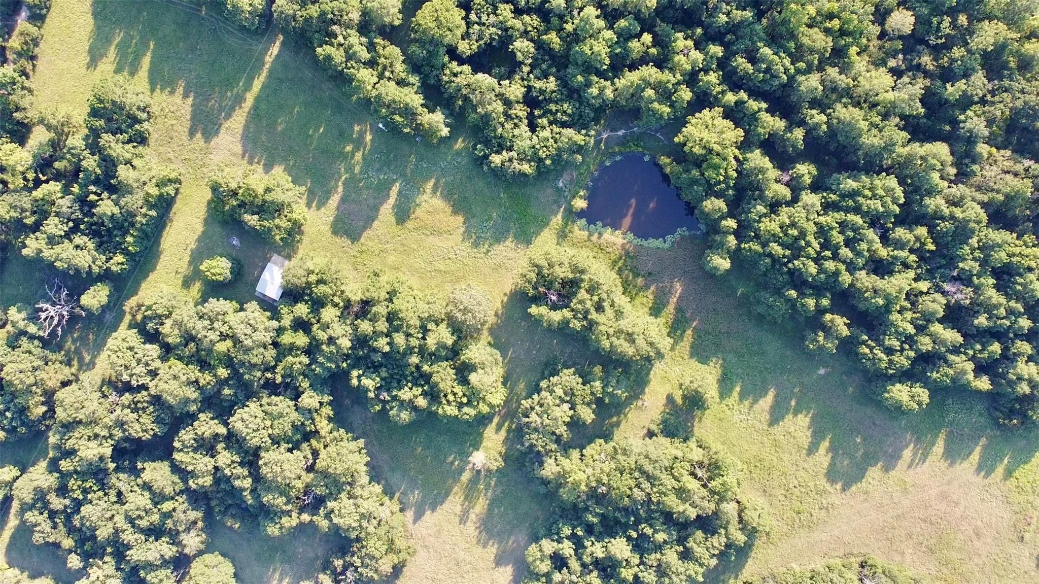 TBD County Road 4025, Lovelady, TX 75851