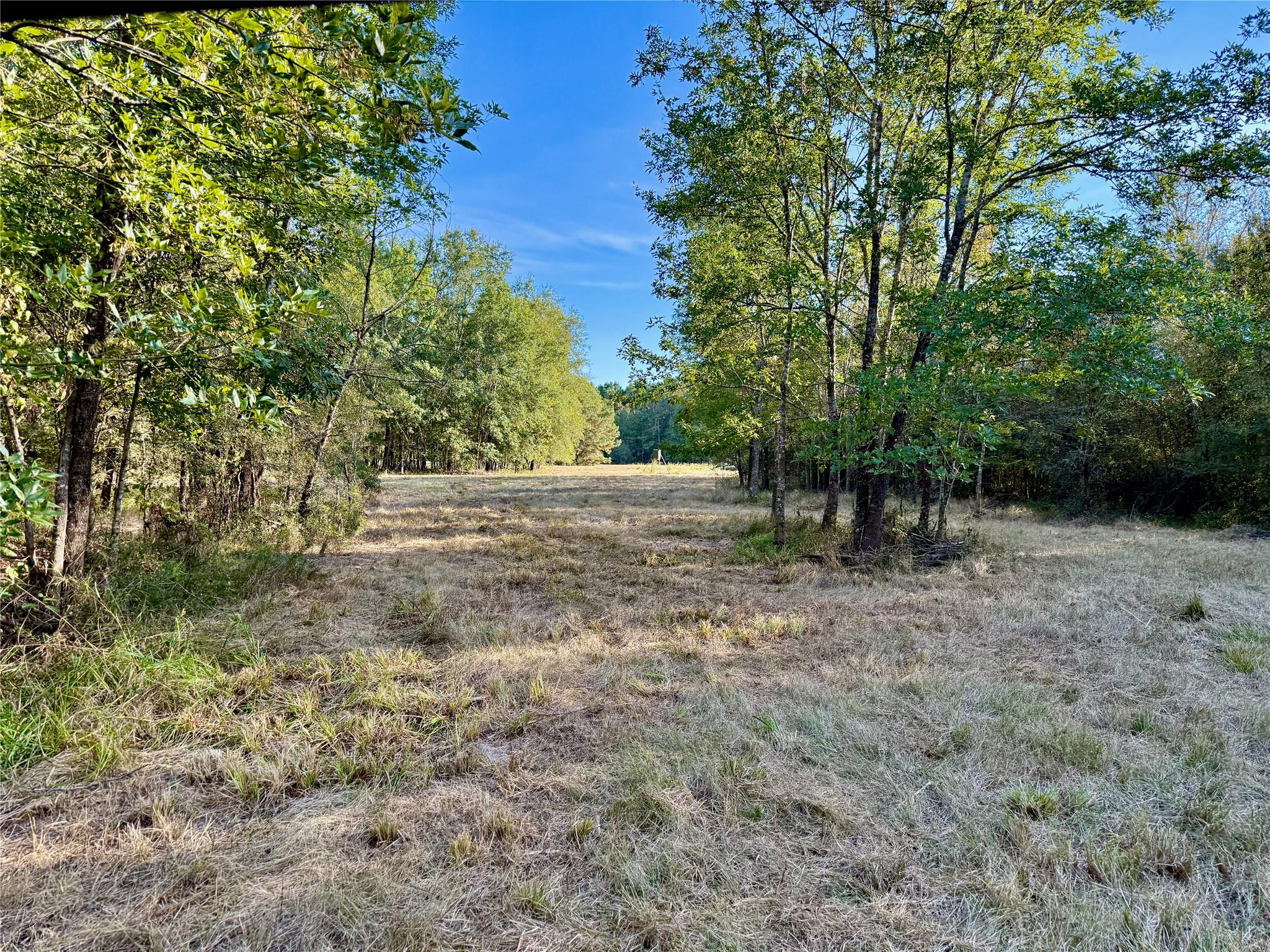 TBD County Road 4025, Lovelady, TX 75851
