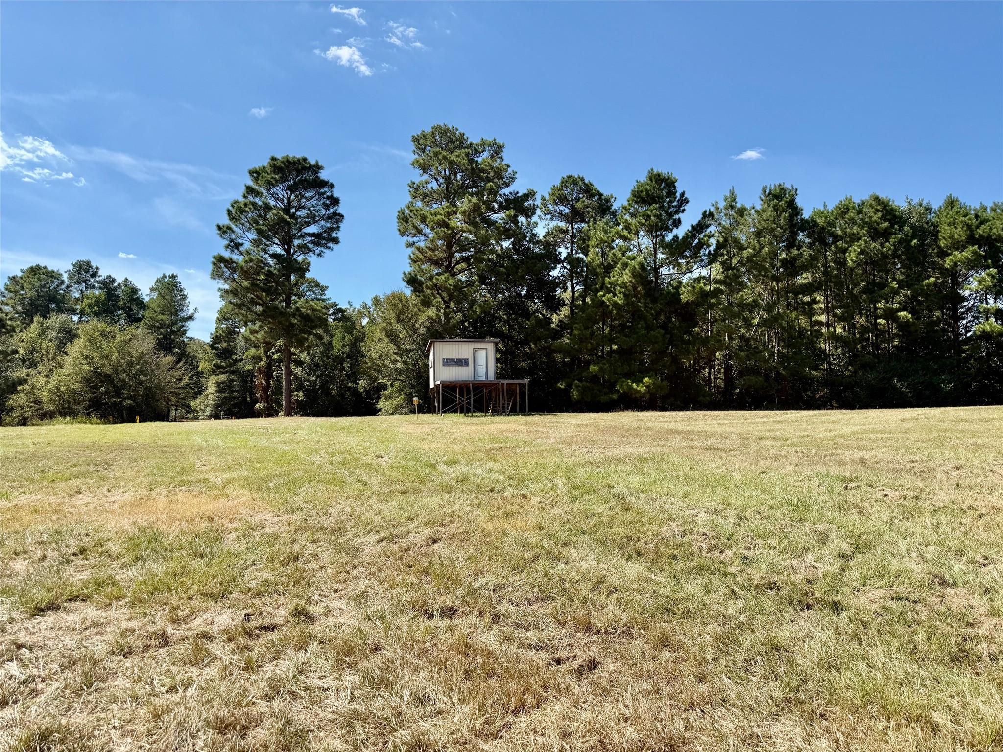 TBD County Road 4025, Lovelady, TX 75851