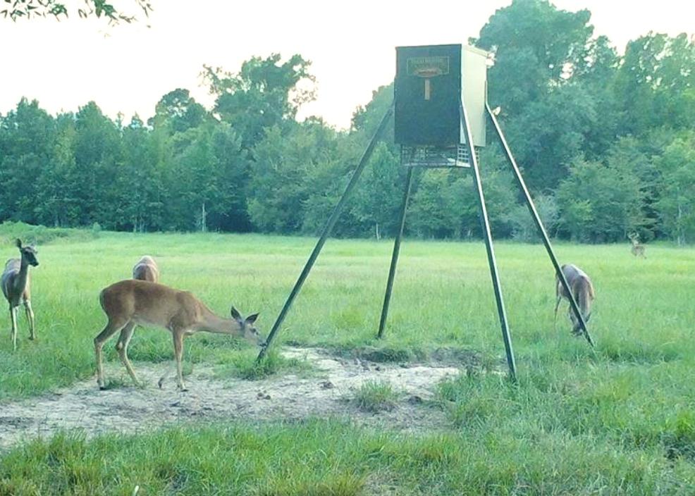 TBD County Road 4025, Lovelady, TX 75851