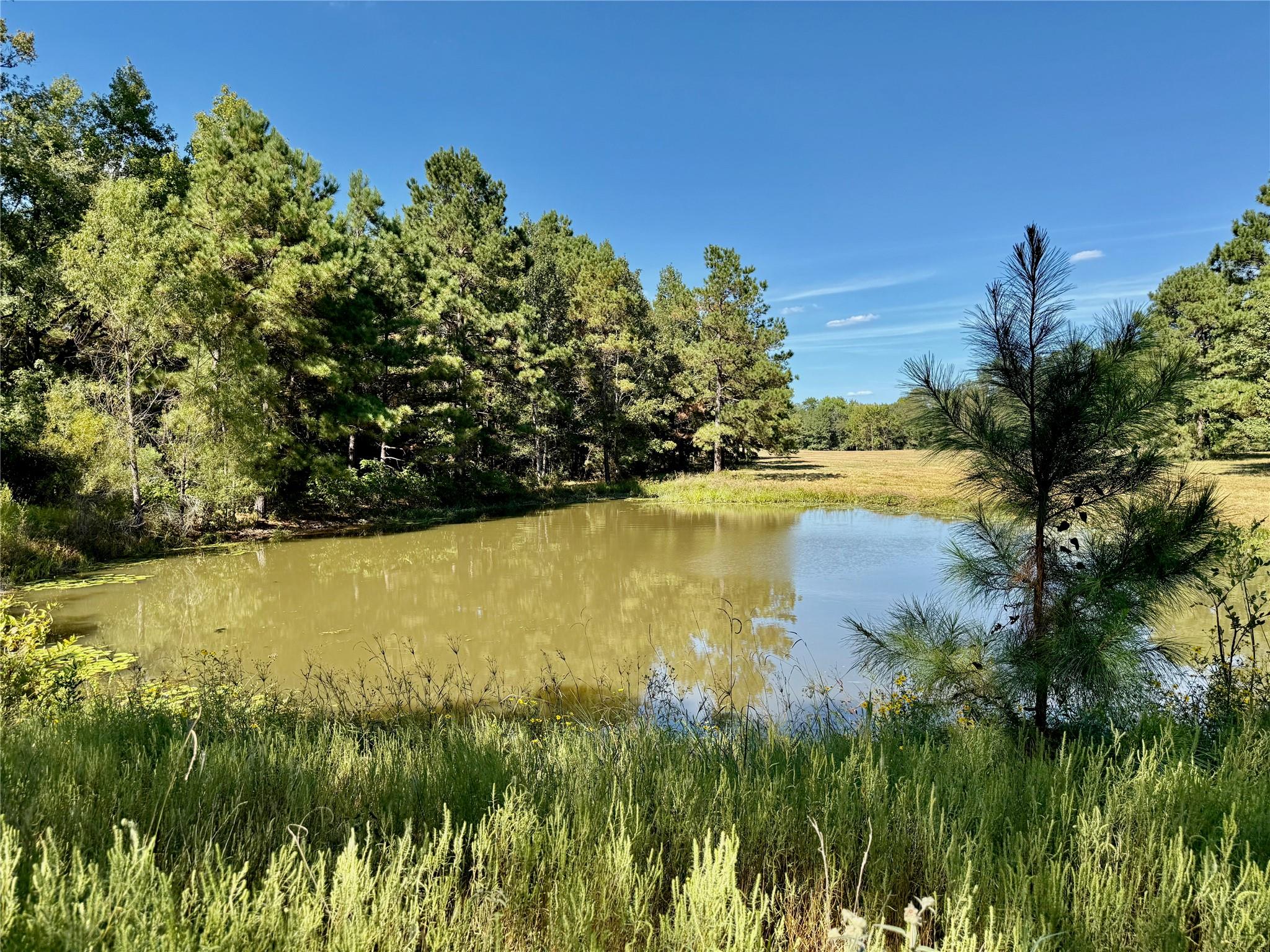 TBD County Road 4025, Lovelady, TX 75851