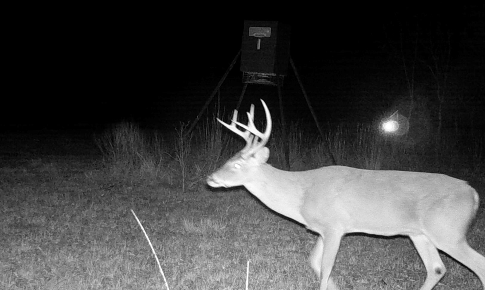 TBD County Road 4025, Lovelady, TX 75851