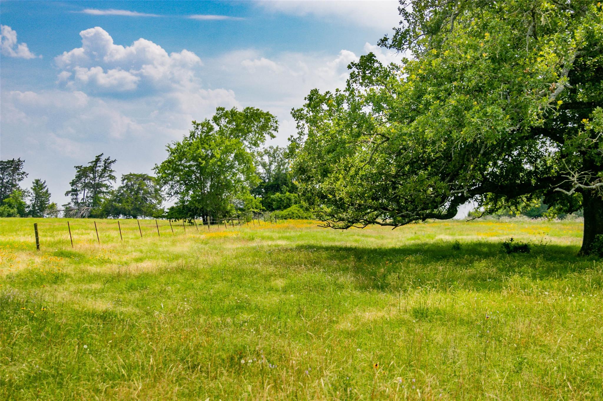 TBD (Lot 26) Legacy Rd, Somerville, TX 77879