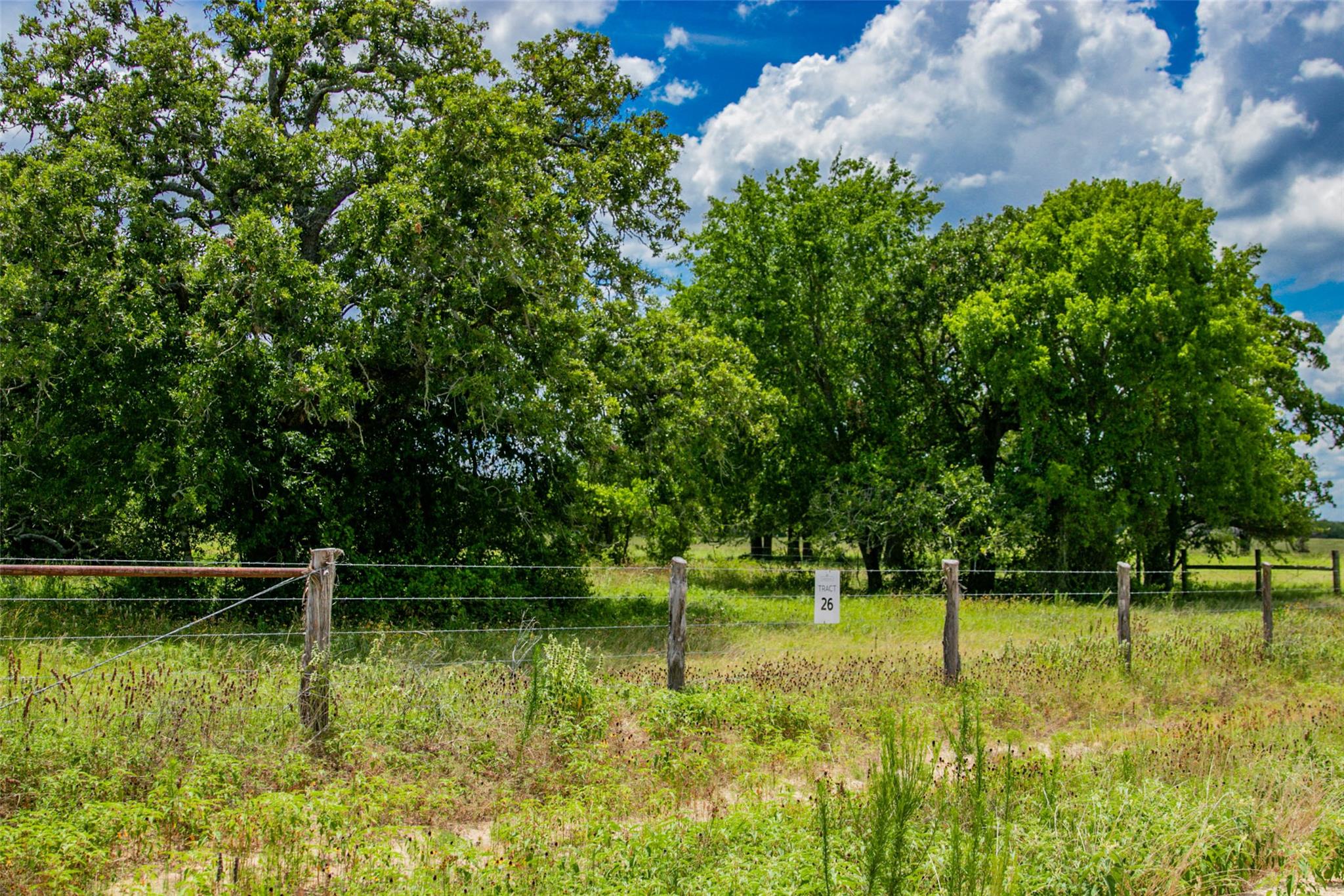 TBD (Lot 26) Legacy Rd, Somerville, TX 77879