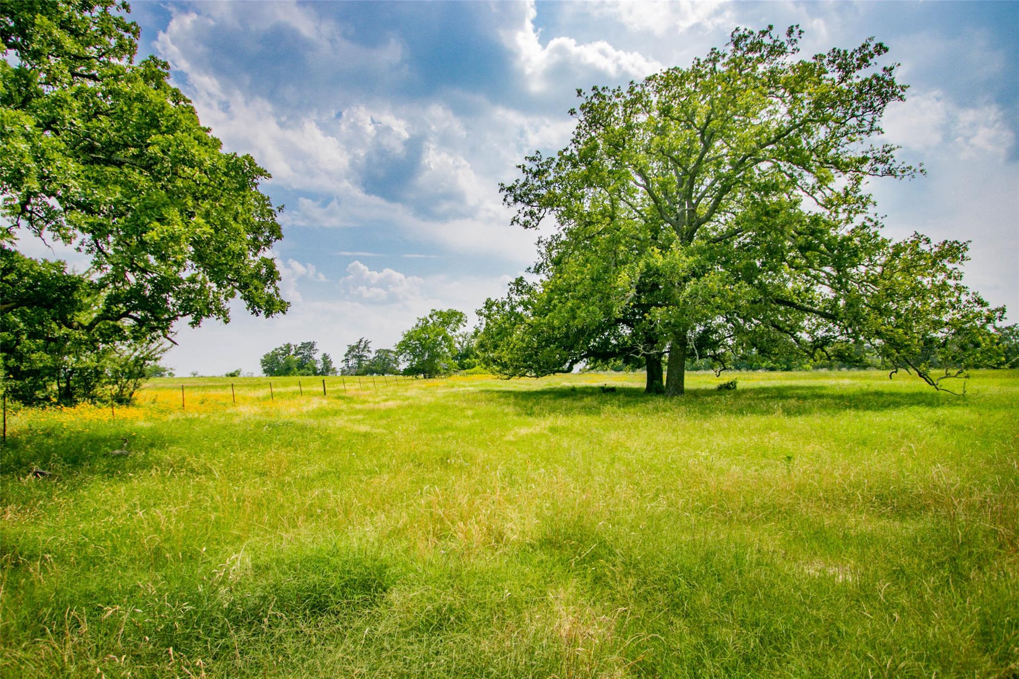 TBD (Lot 26) Legacy Rd, Somerville, TX 77879