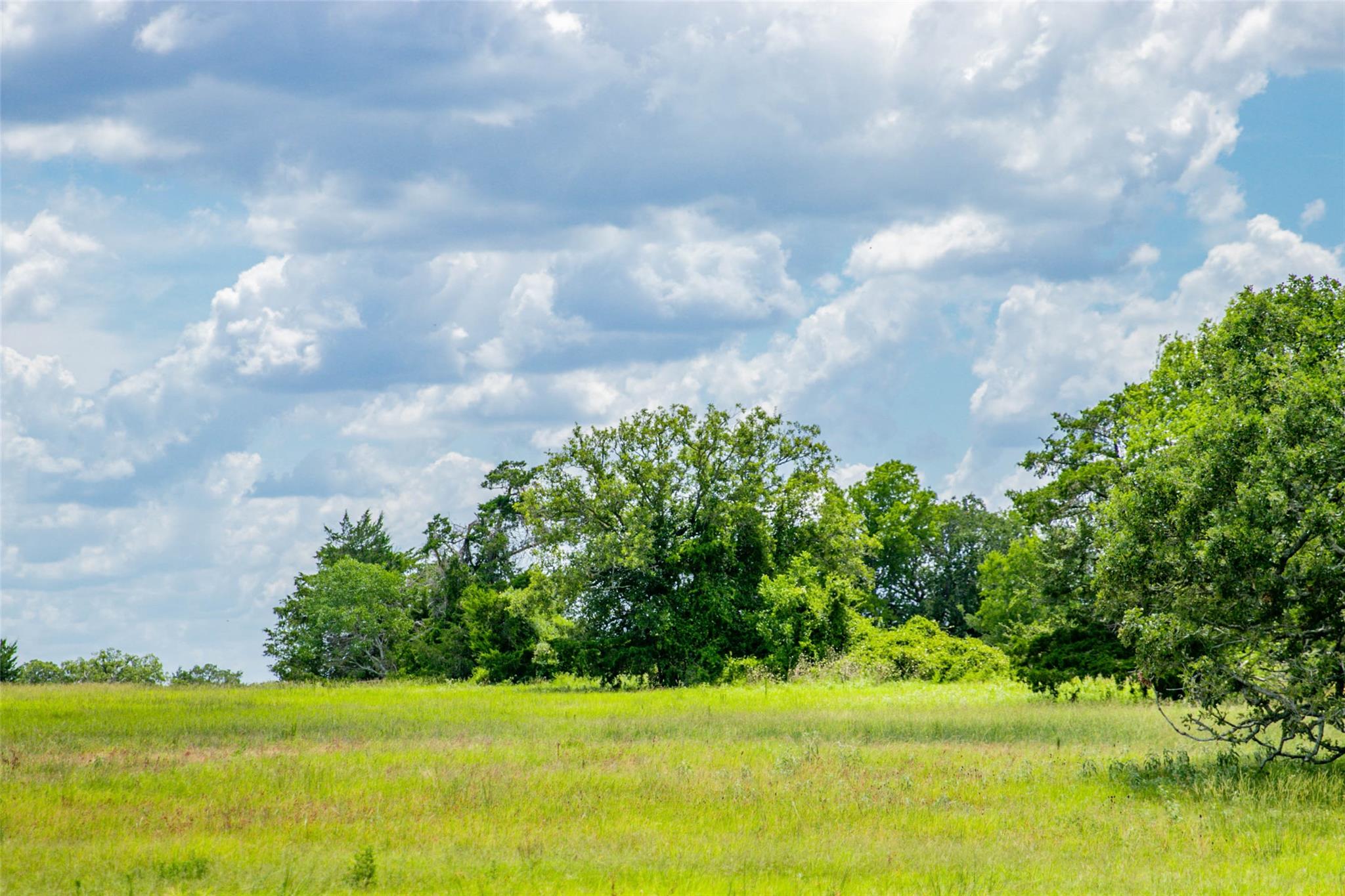 TBD (Lot 26) Legacy Rd, Somerville, TX 77879