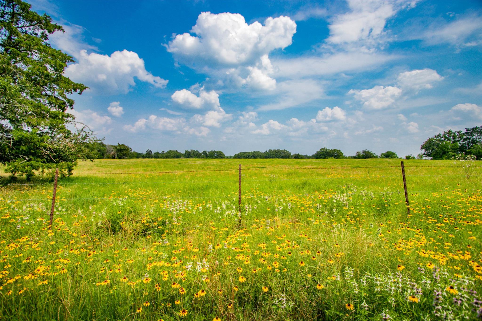 TBD (Lot 26) Legacy Rd, Somerville, TX 77879