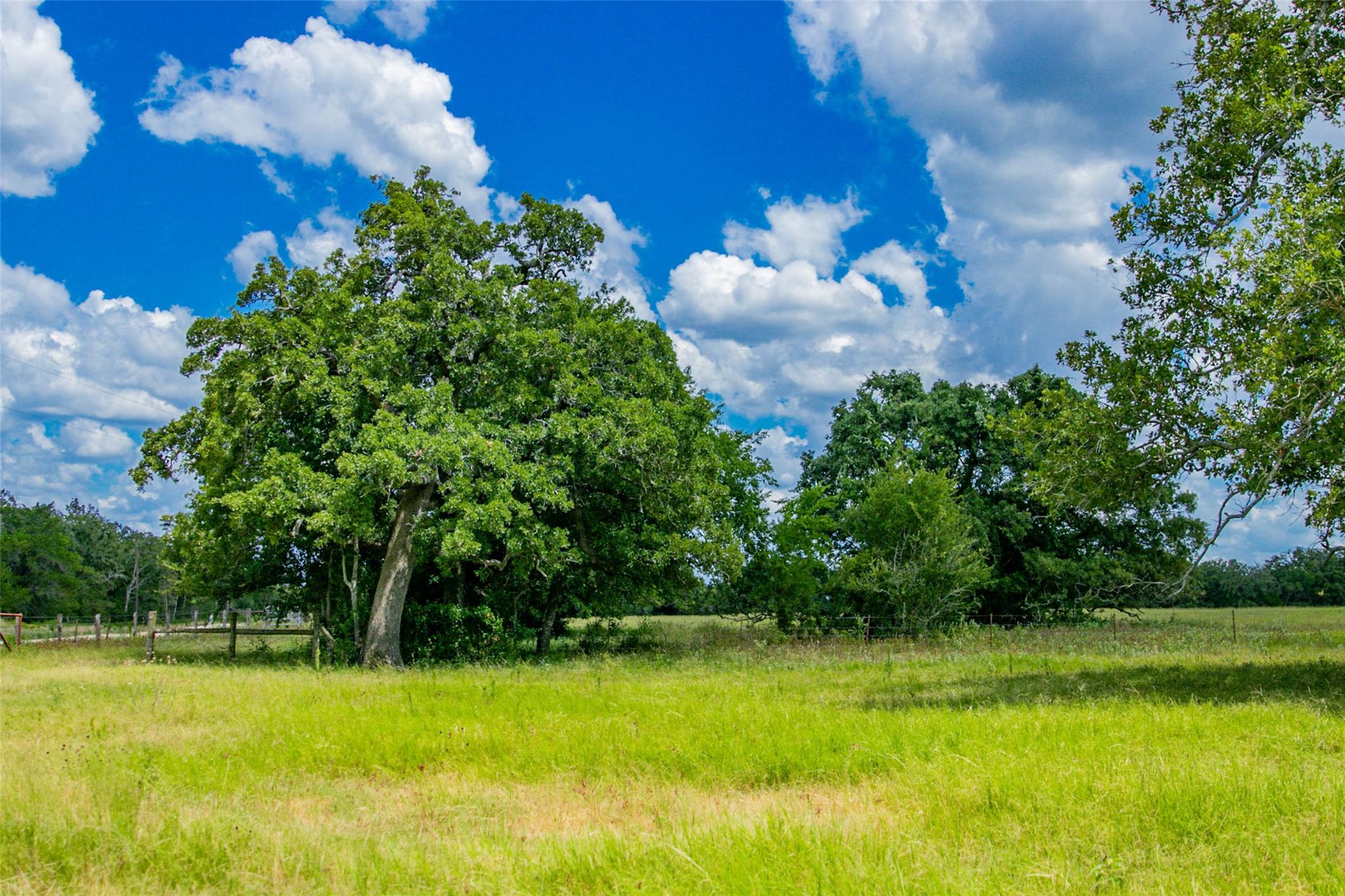 TBD (Lot 26) Legacy Rd, Somerville, TX 77879