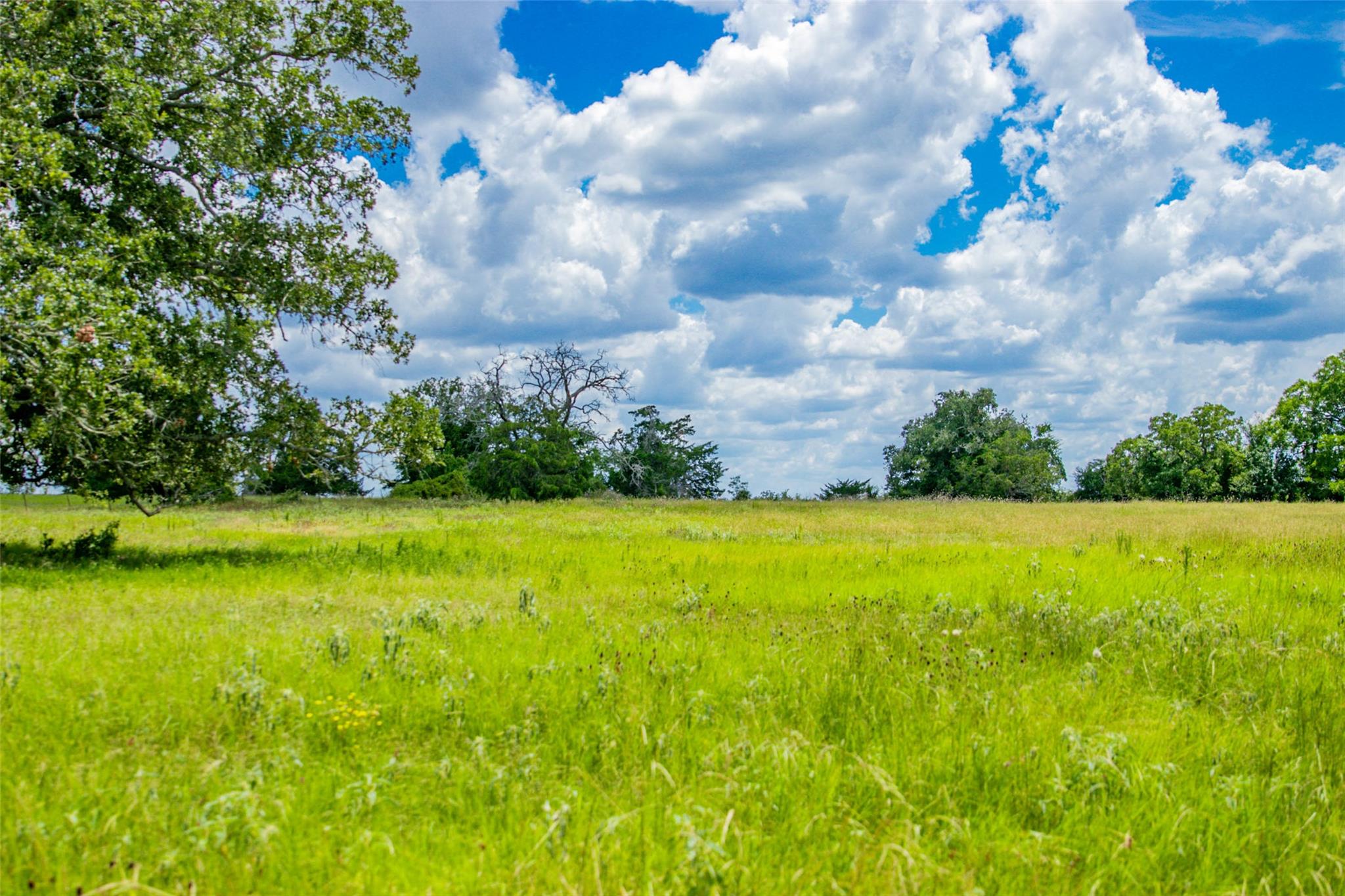 TBD (Lot 26) Legacy Rd, Somerville, TX 77879