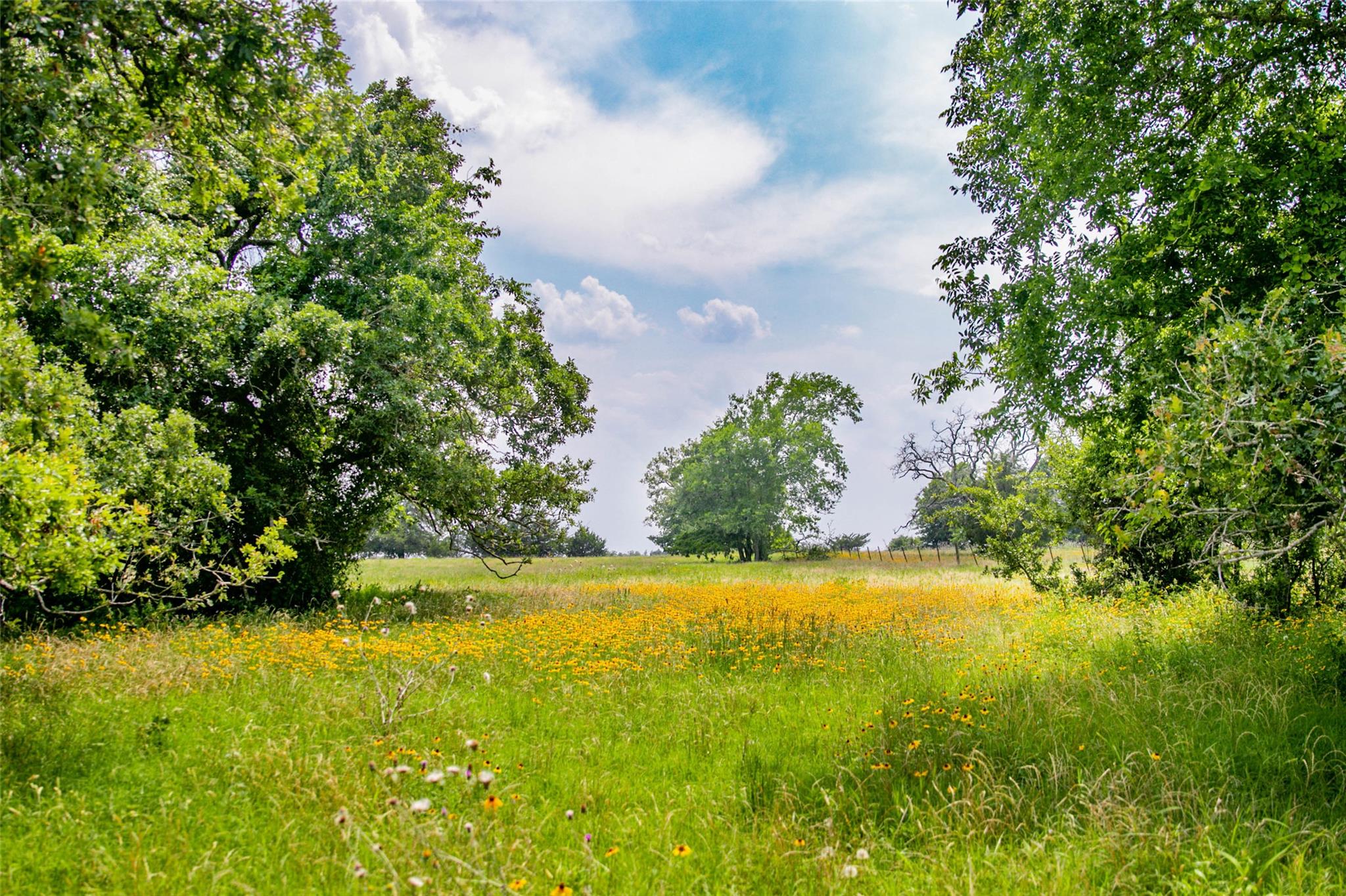 TBD (Lot 26) Legacy Rd, Somerville, TX 77879