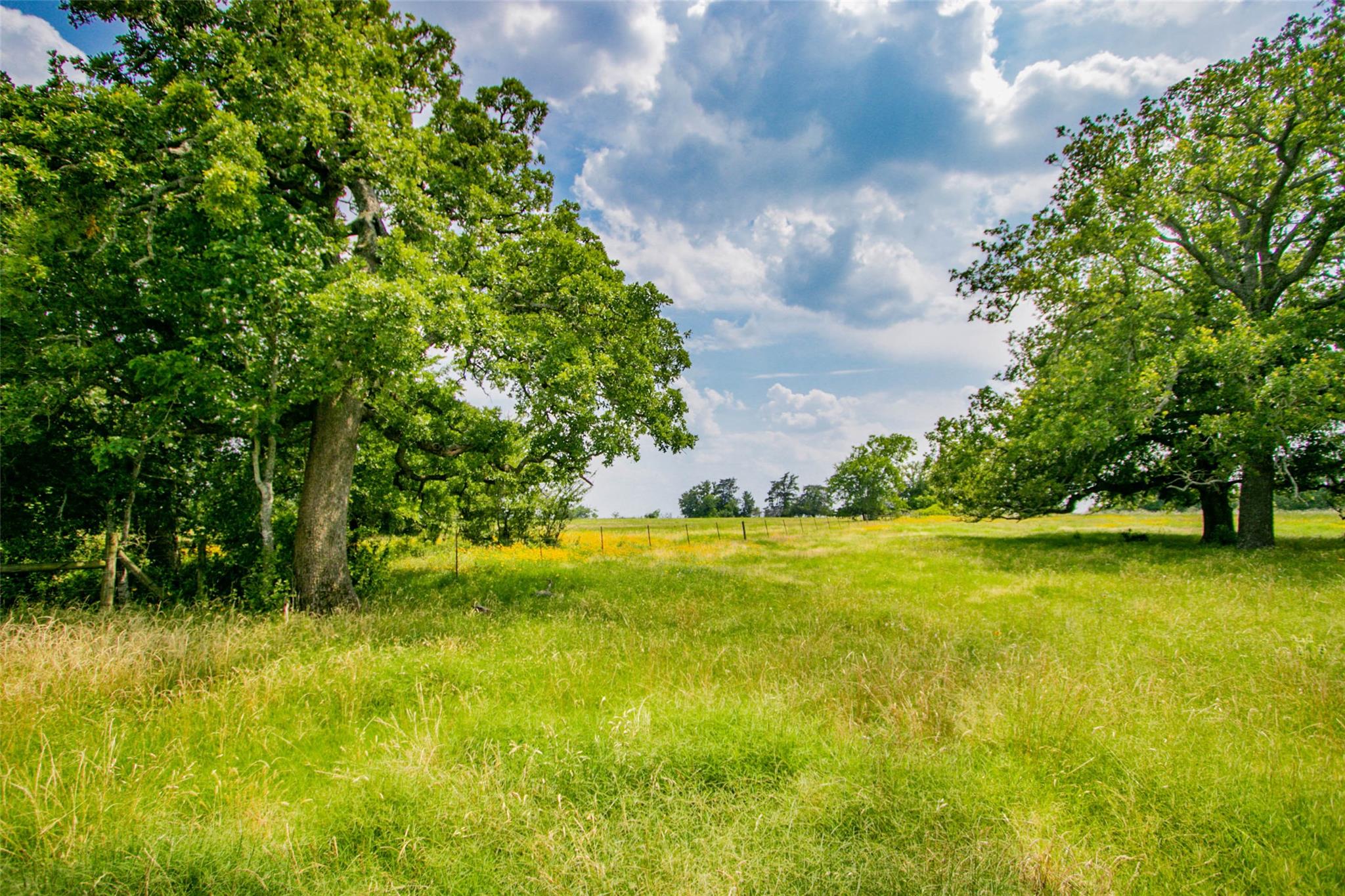 TBD (Lot 26) Legacy Rd, Somerville, TX 77879