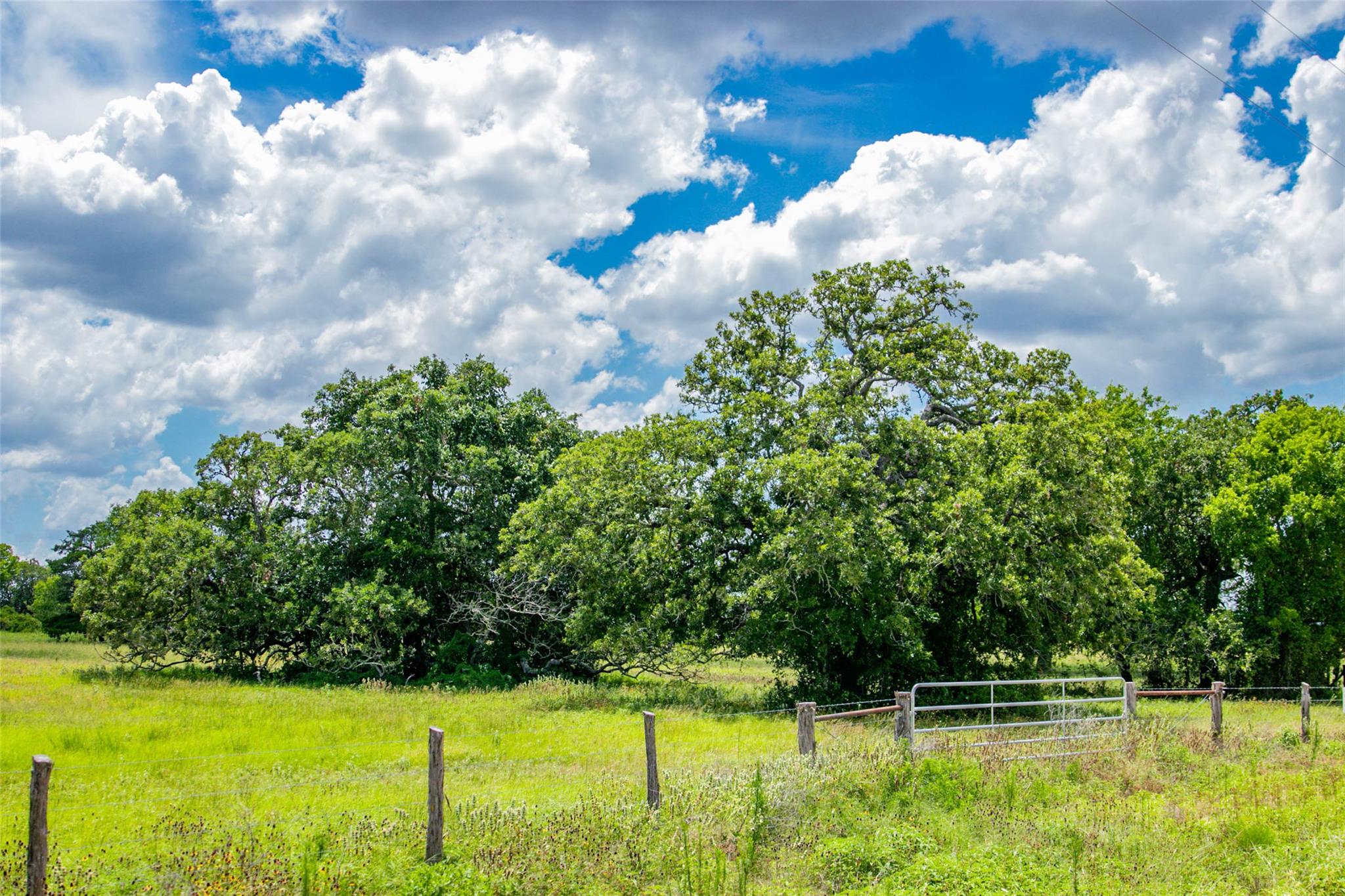 TBD (Lot 26) Legacy Rd, Somerville, TX 77879