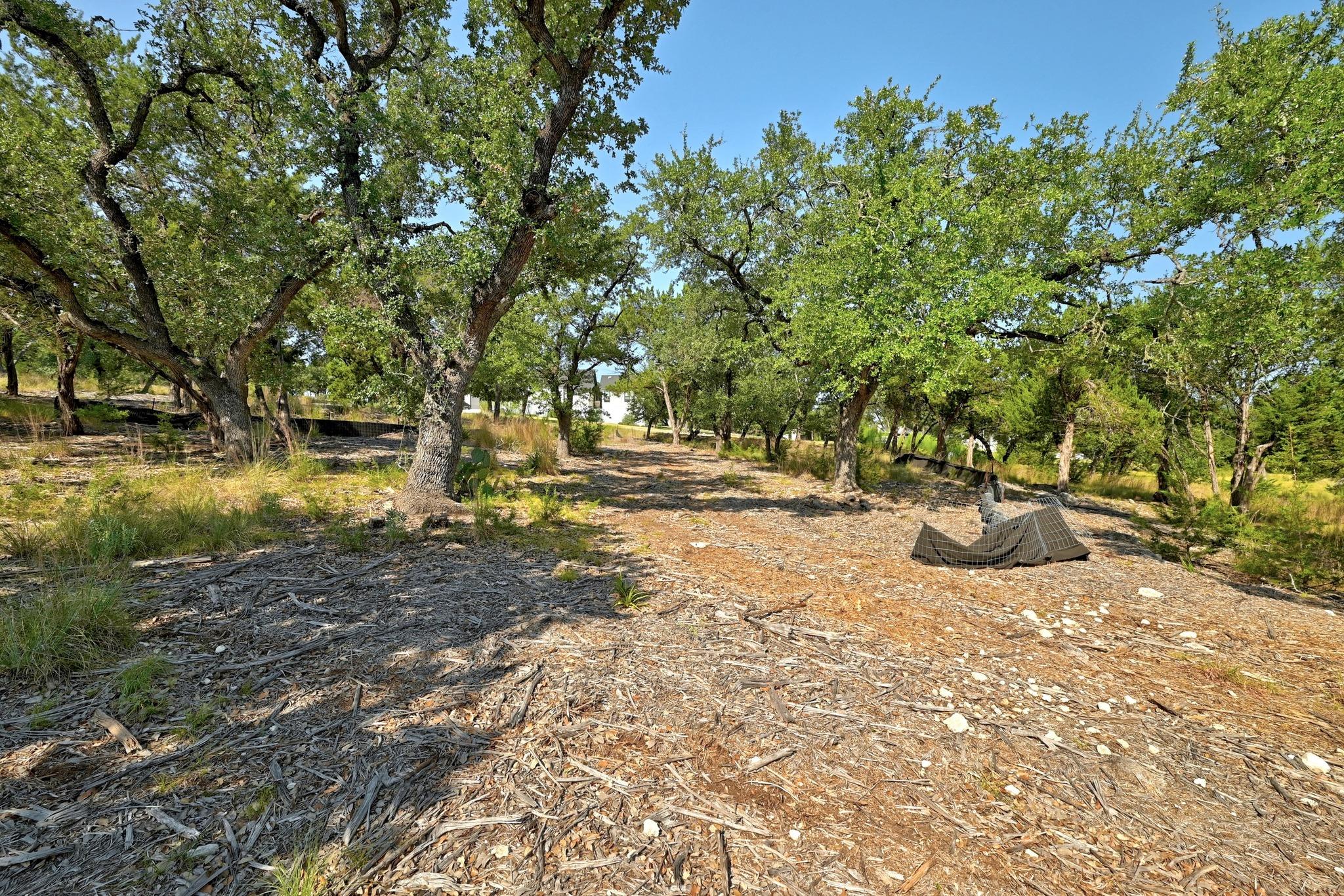 170 Night Wrangler Ln, Driftwood, TX 78619