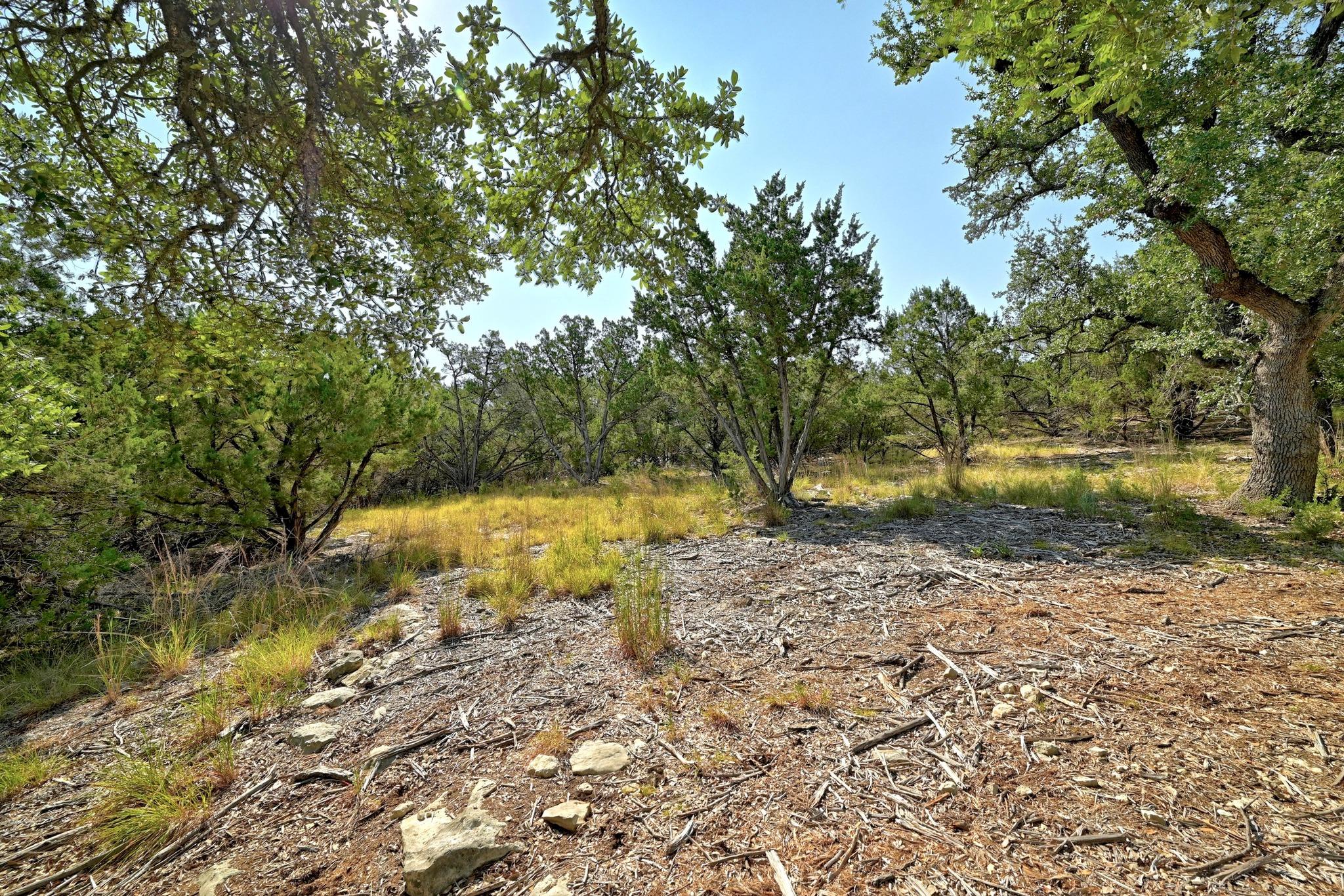 170 Night Wrangler Ln, Driftwood, TX 78619