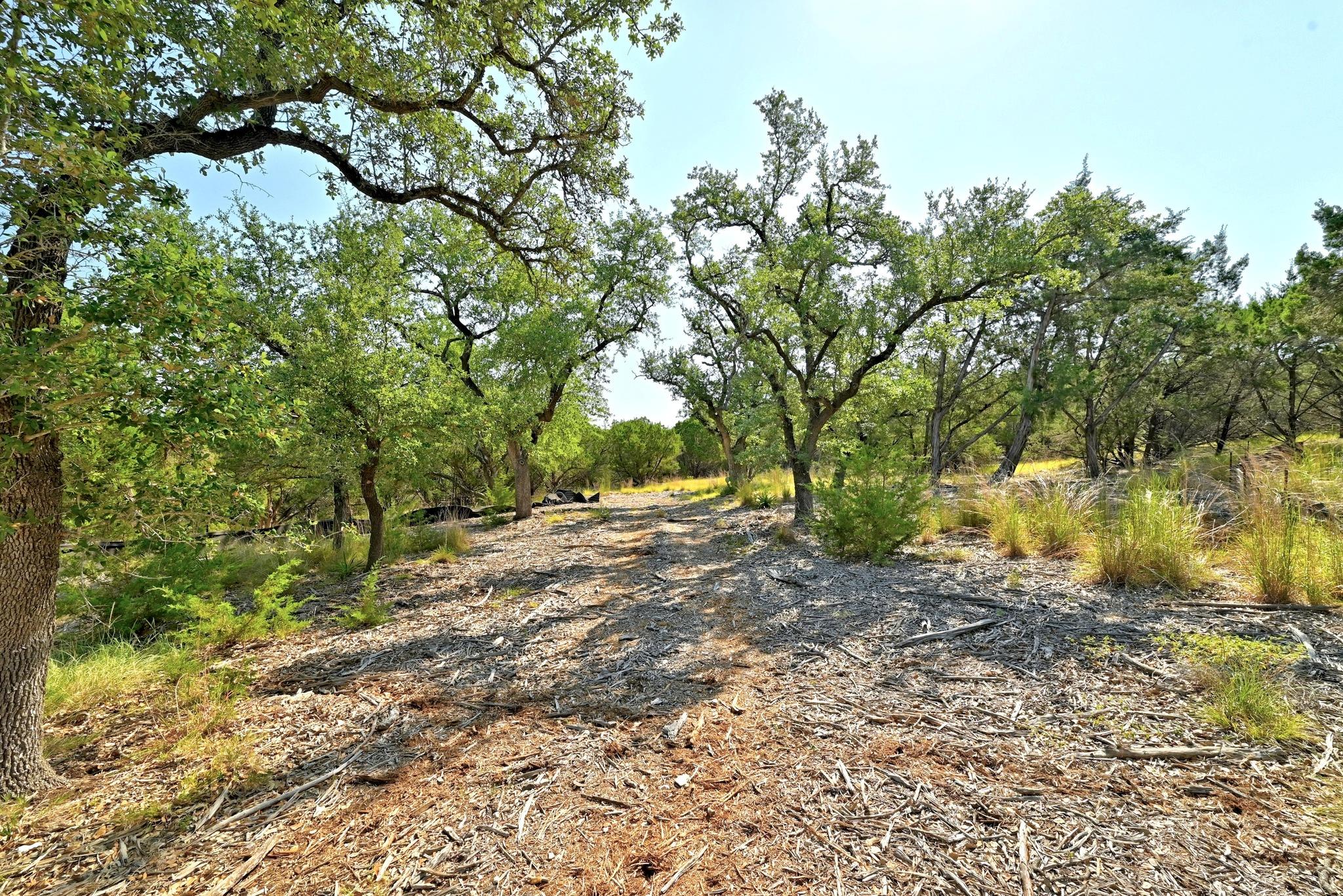 170 Night Wrangler Ln, Driftwood, TX 78619