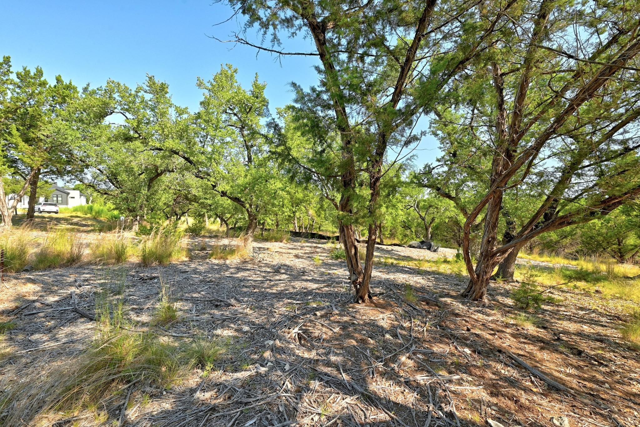 170 Night Wrangler Ln, Driftwood, TX 78619