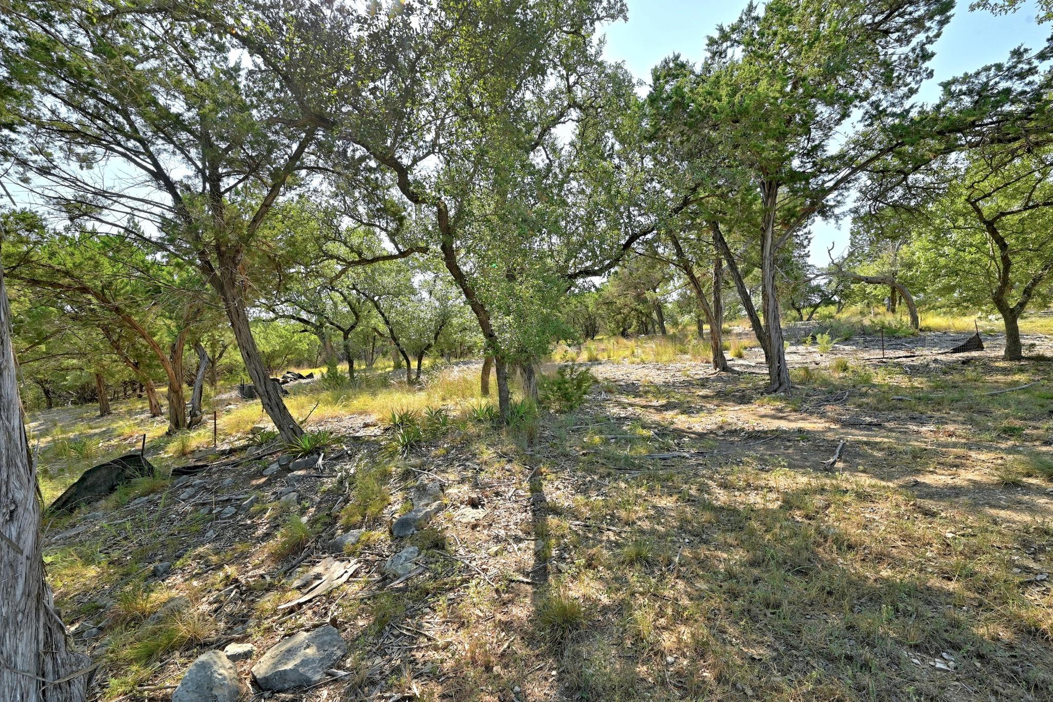 170 Night Wrangler Ln, Driftwood, TX 78619