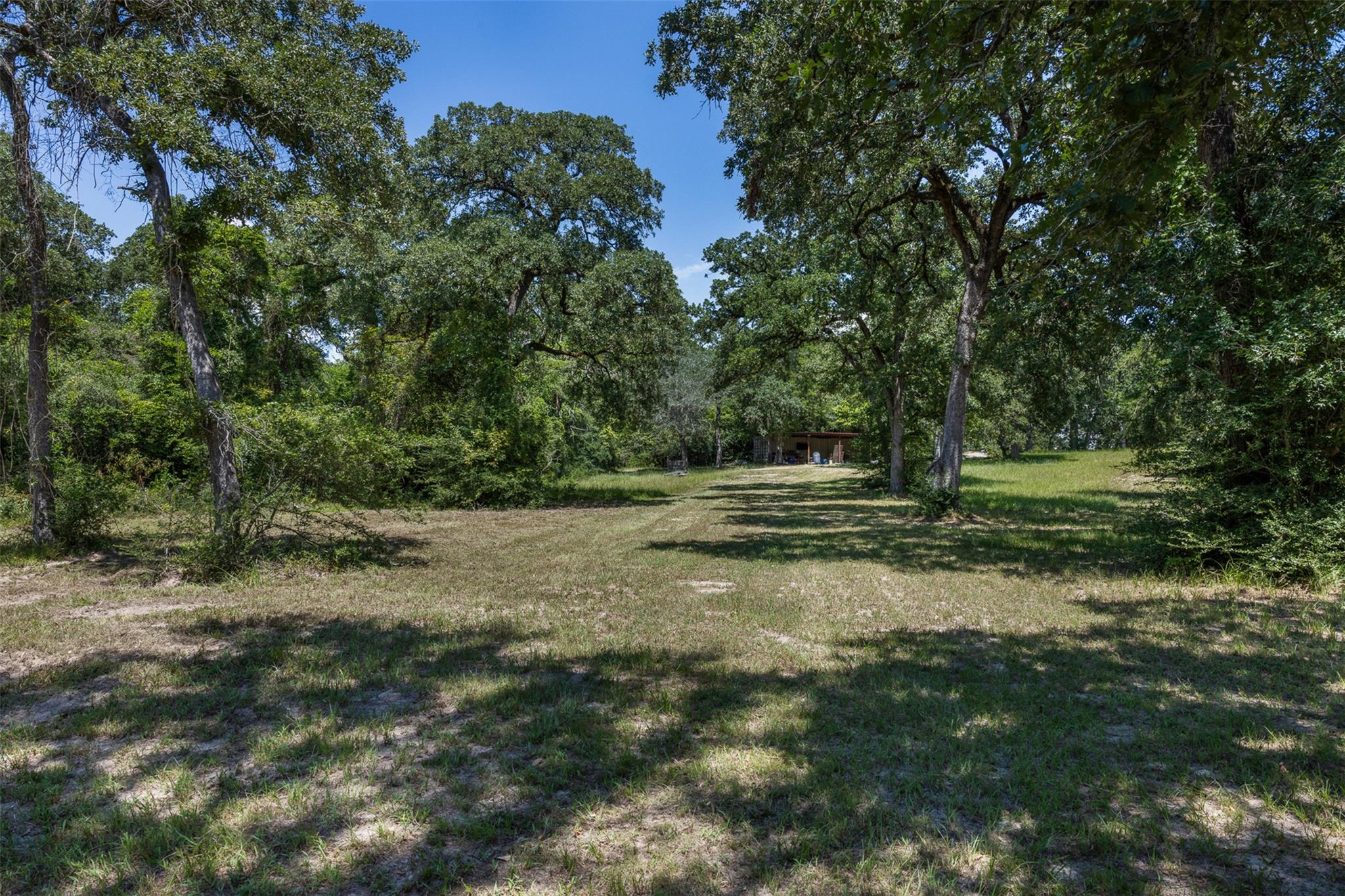 6481 Private Road 2003 Pr, Caldwell, TX 77836