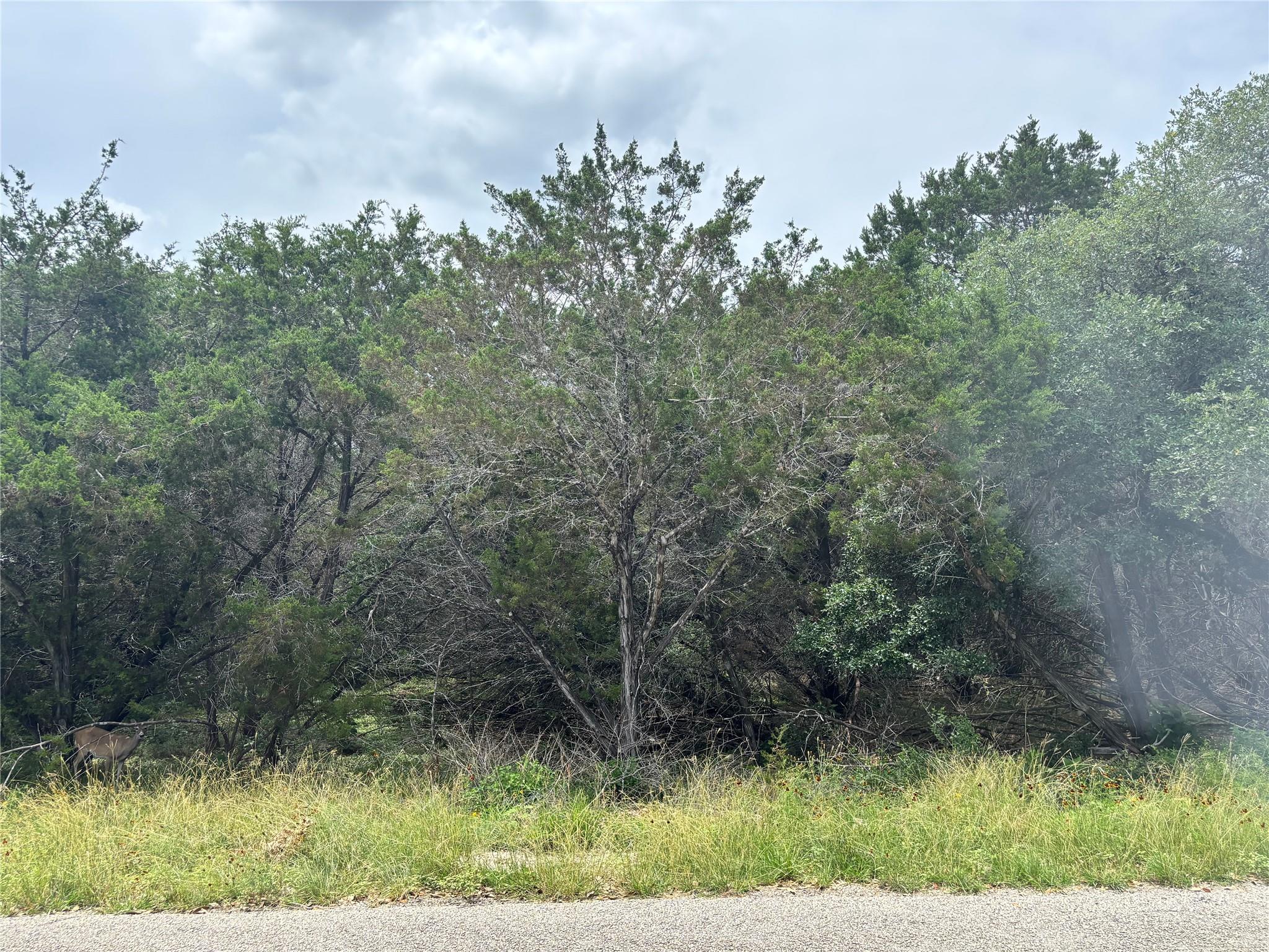 000 TBD Dr, Canyon Lake, TX 78133