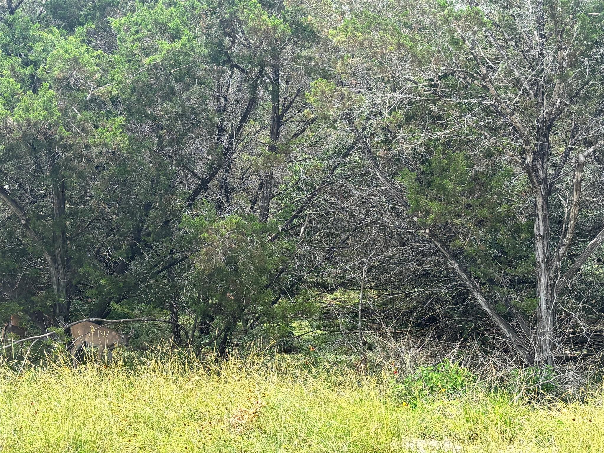 000 TBD Dr, Canyon Lake, TX 78133