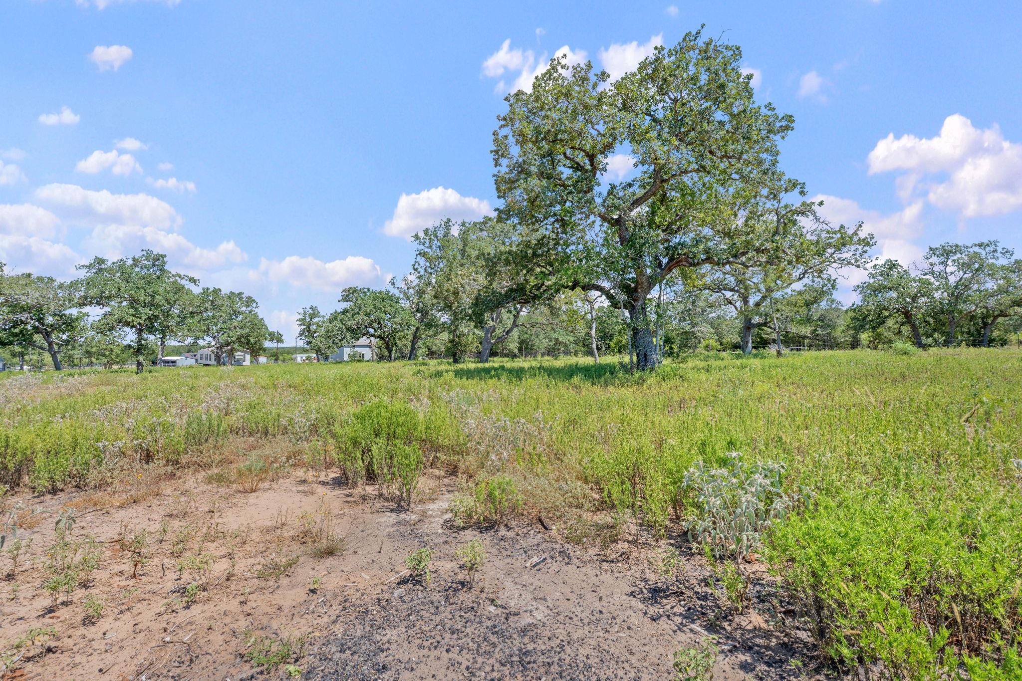 1385 Pettytown Rd, Dale, TX 78616