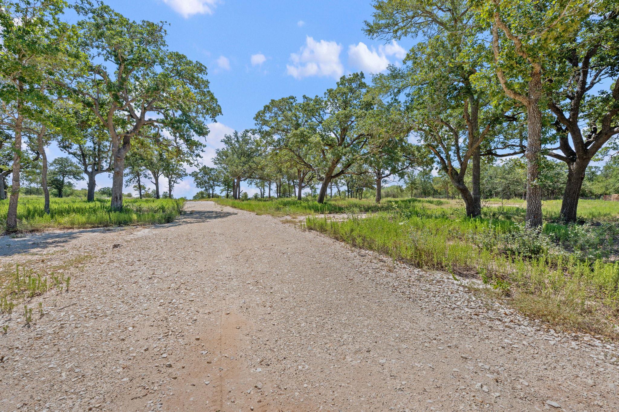 1385 Pettytown Rd, Dale, TX 78616
