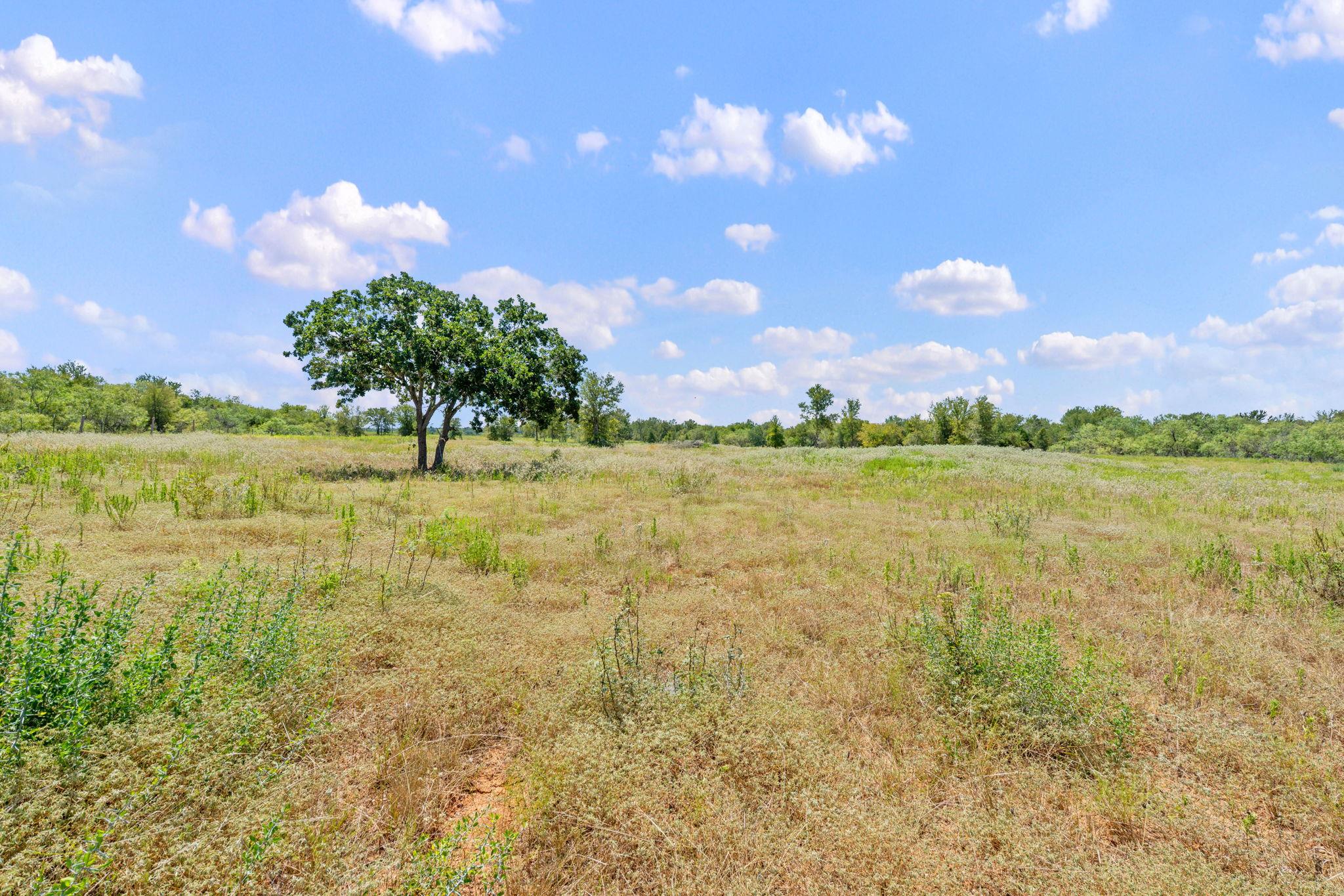 1385 Pettytown Rd, Dale, TX 78616