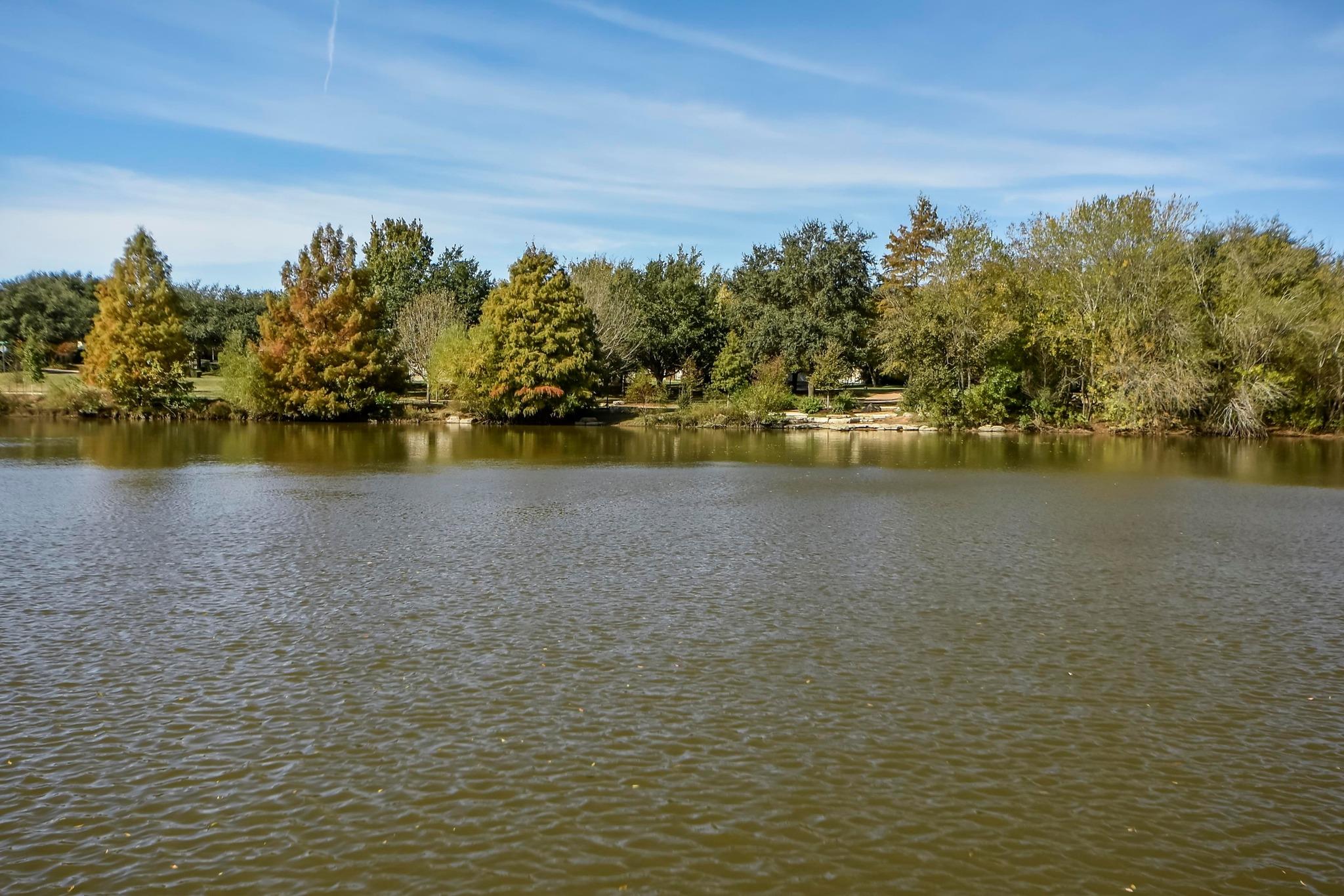 2205 Waterway Bnd, Austin, TX 78728