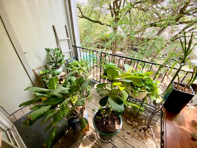 3018 SOUTH FIRST St # 218, Austin, TX 78704