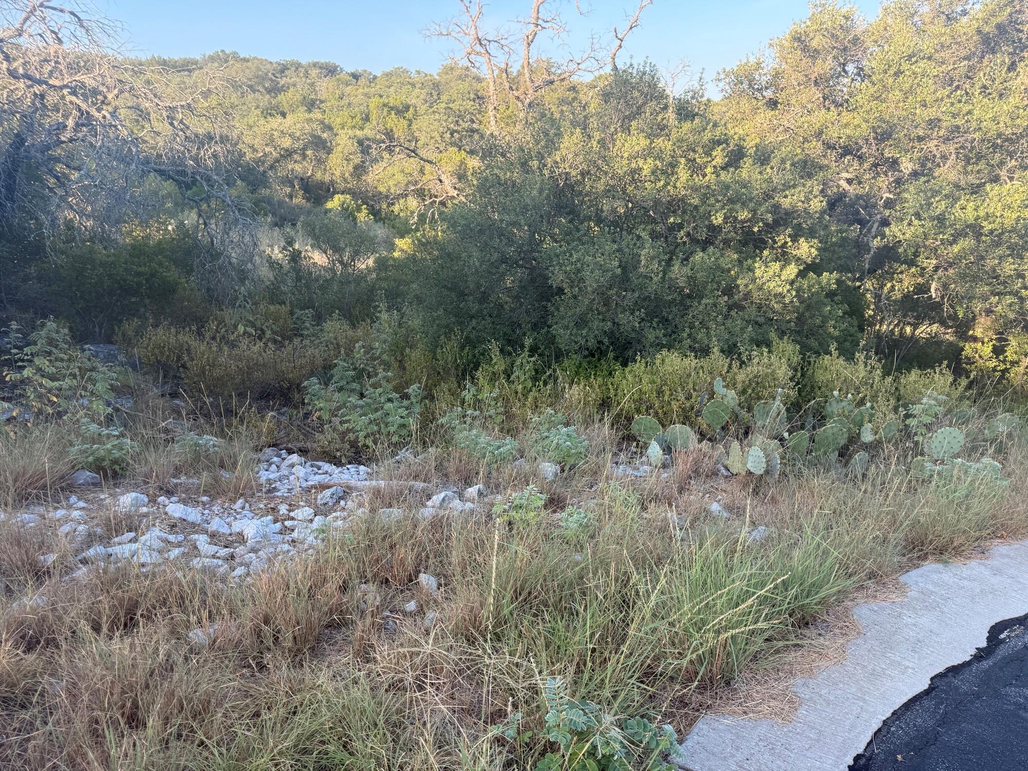 LT 45027 Moon Rise, Horseshoe Bay, TX 78657