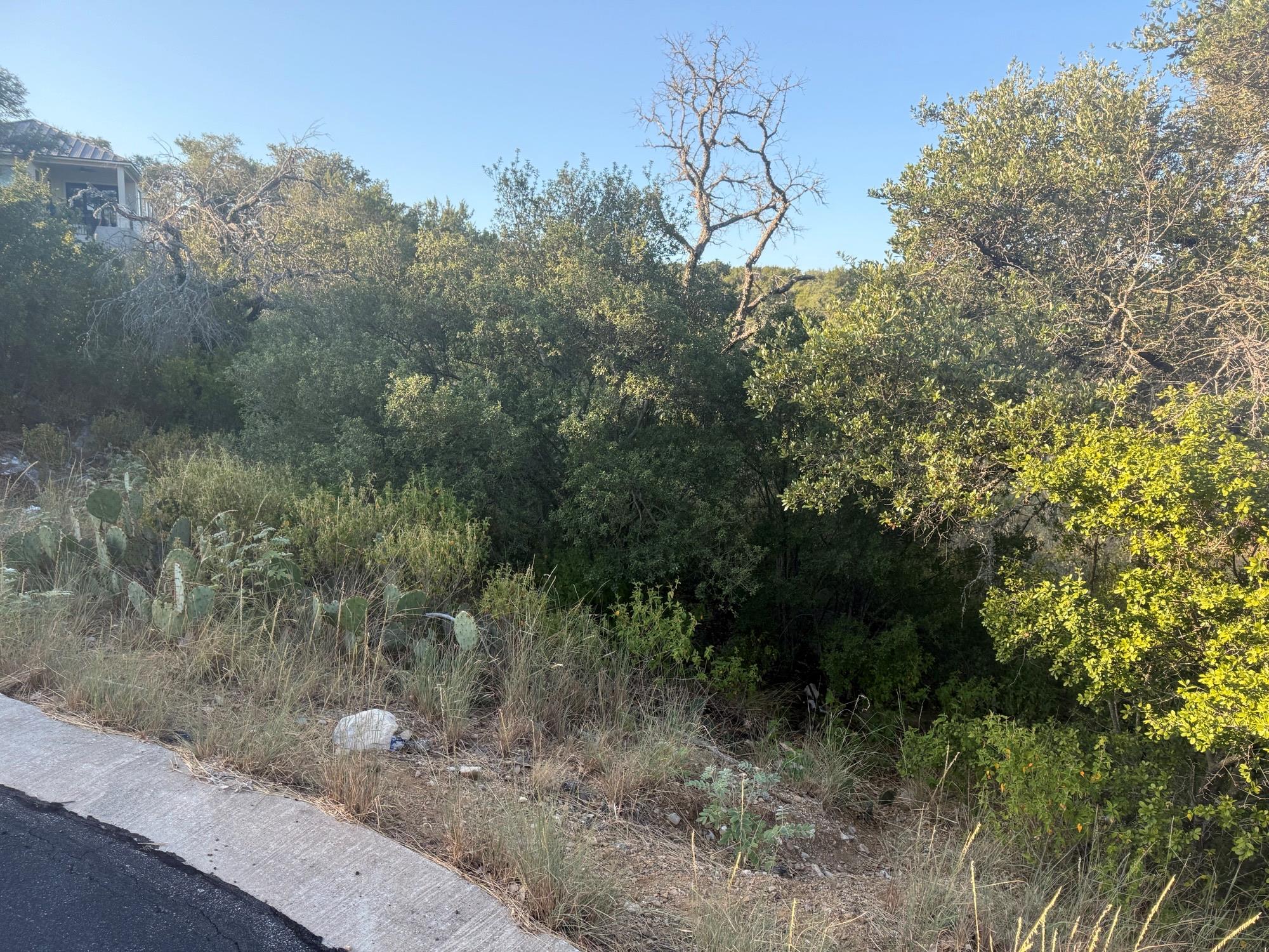 LT 45027 Moon Rise, Horseshoe Bay, TX 78657