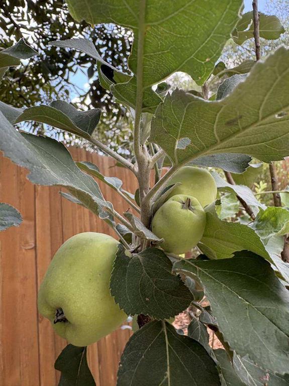 6805 Breezy Pass, Austin, TX 78749