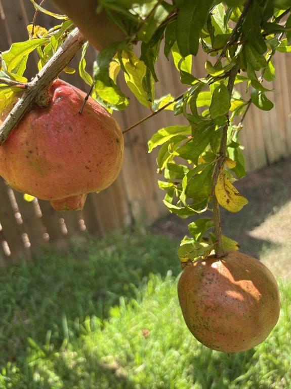 6805 Breezy Pass, Austin, TX 78749