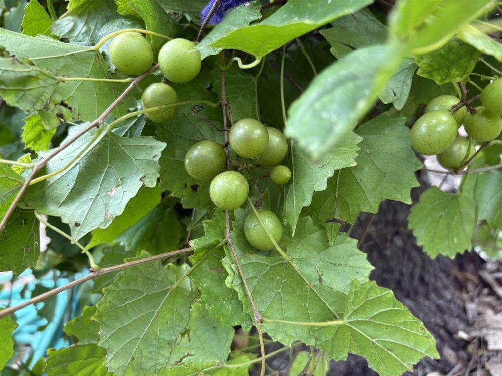 6805 Breezy Pass, Austin, TX 78749