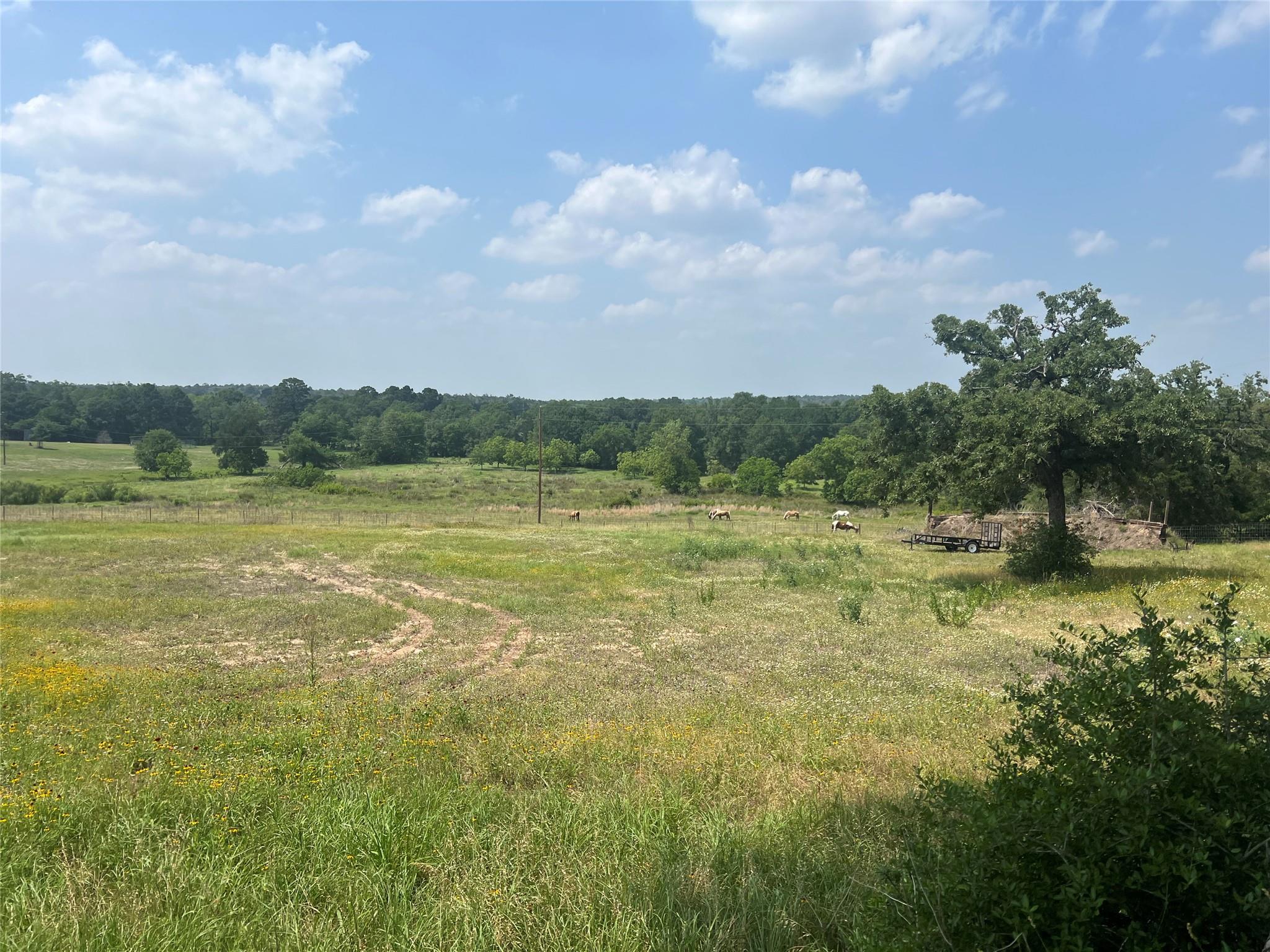 702 Paint Creek Rd, McDade, TX 78650