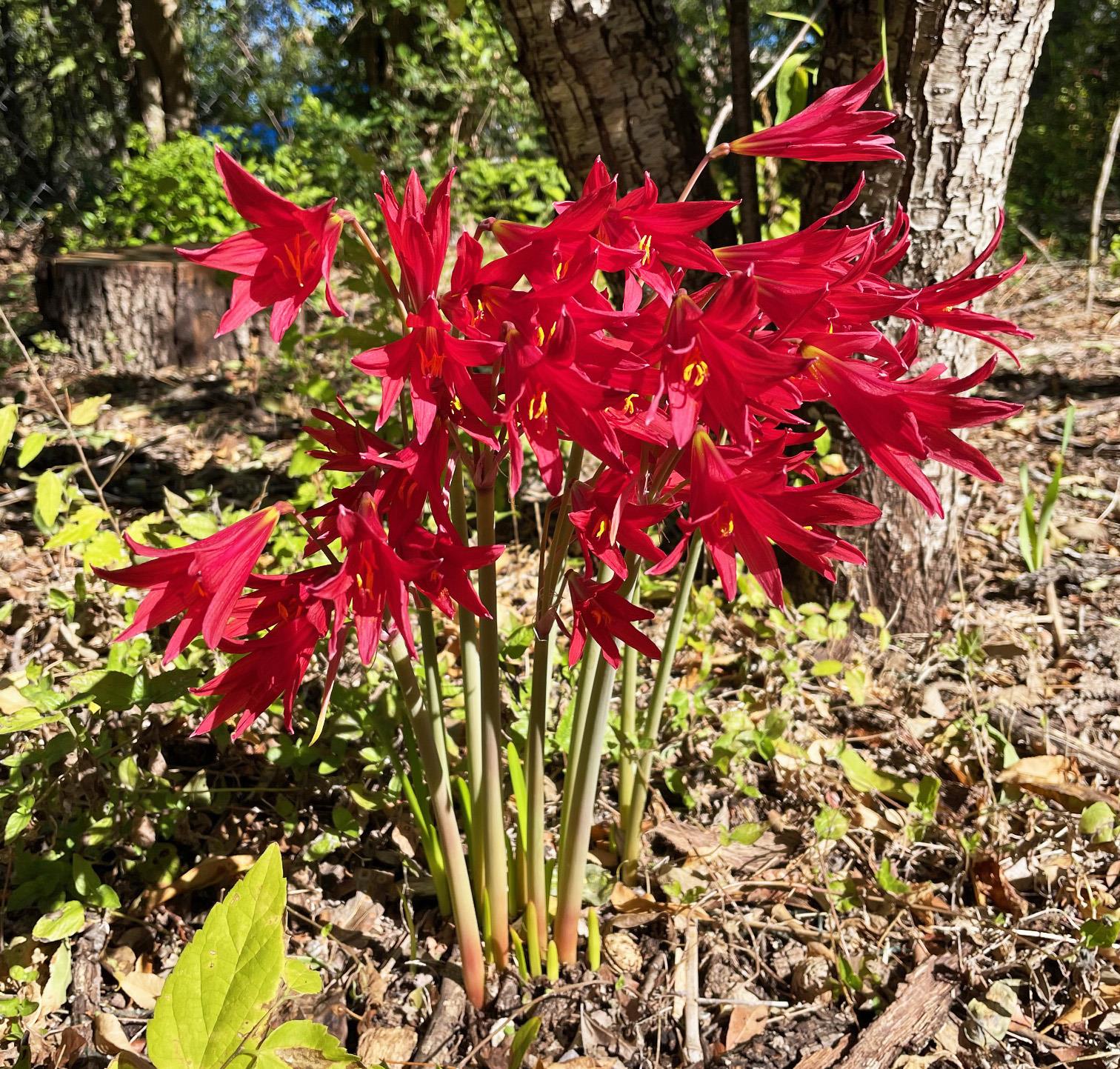 7607 Forest Wood Rd, Austin, TX 78745