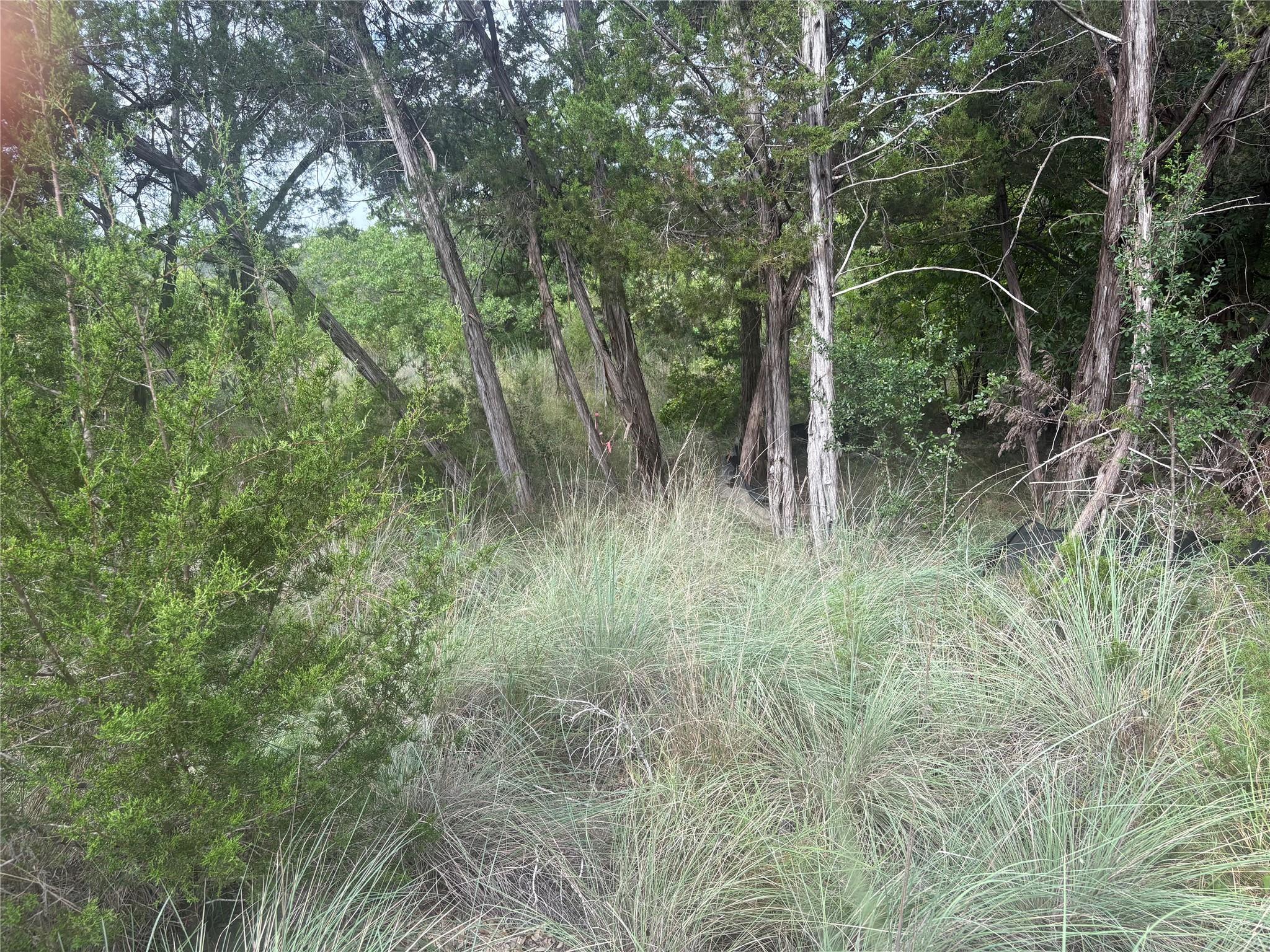 1803 Lipan Trl, Austin, TX 78733