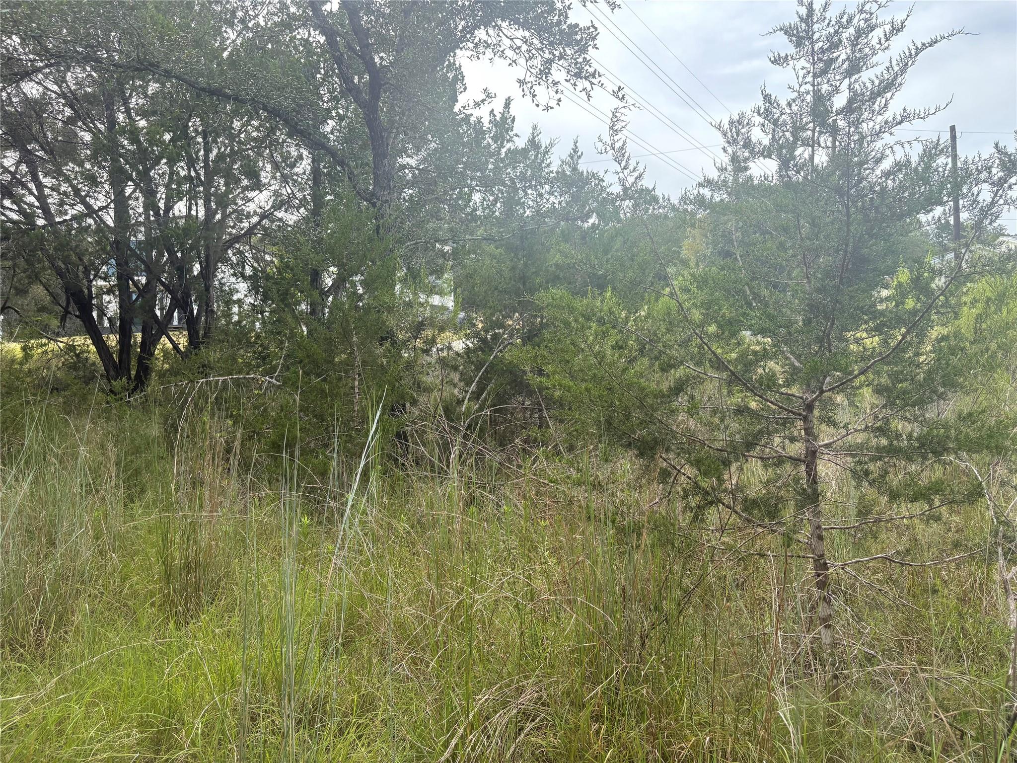 1803 Lipan Trl, Austin, TX 78733