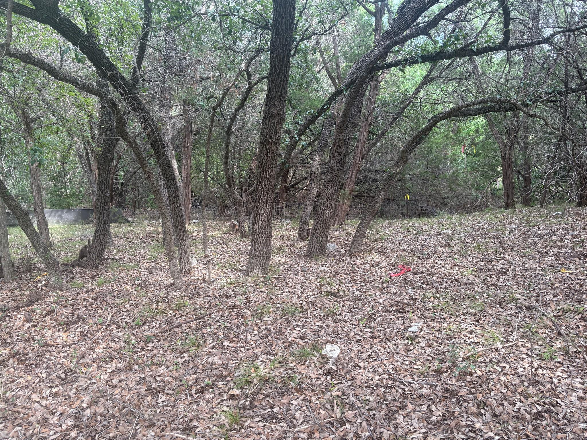 1803 Lipan Trl, Austin, TX 78733