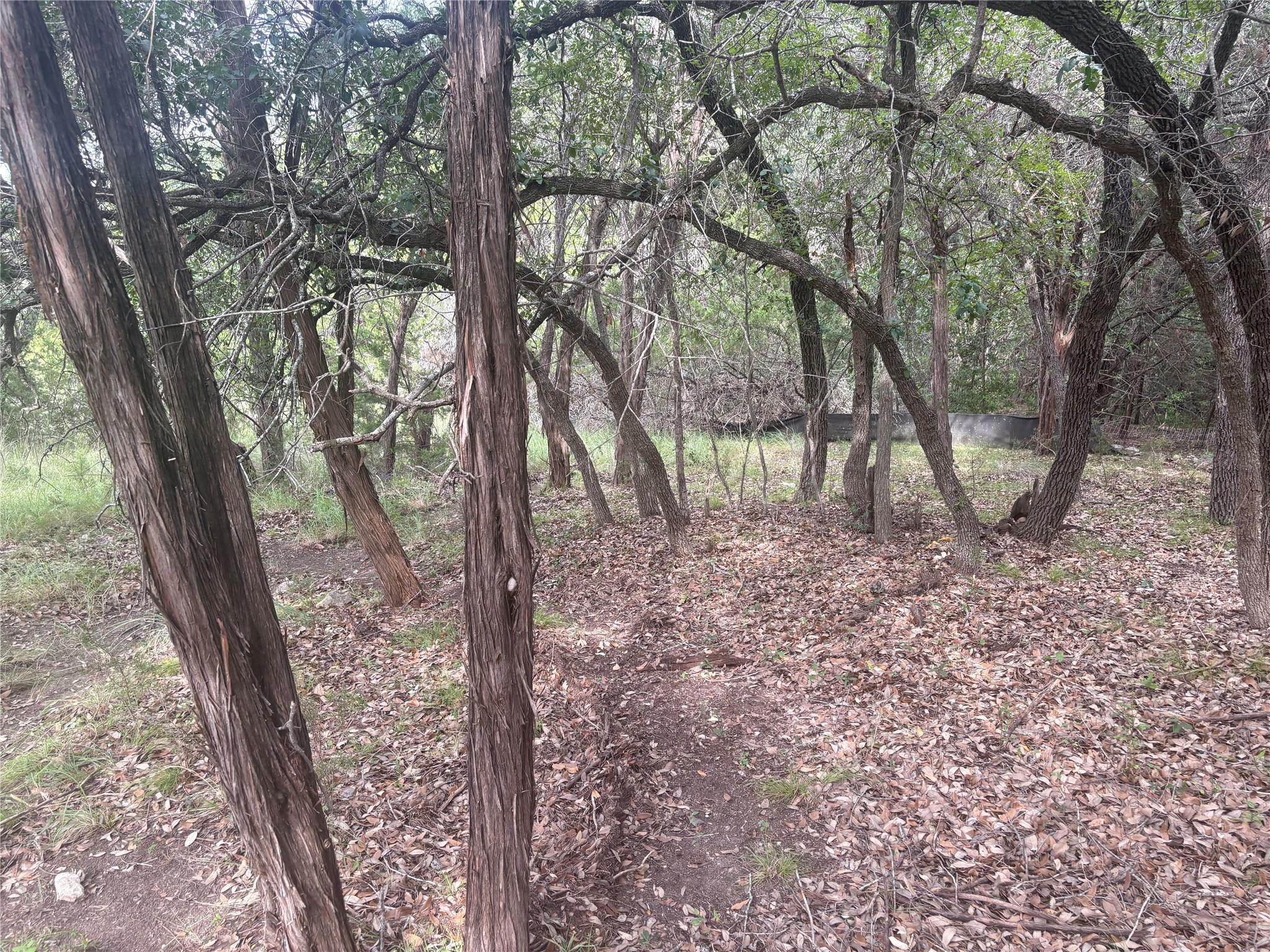 1803 Lipan Trl, Austin, TX 78733