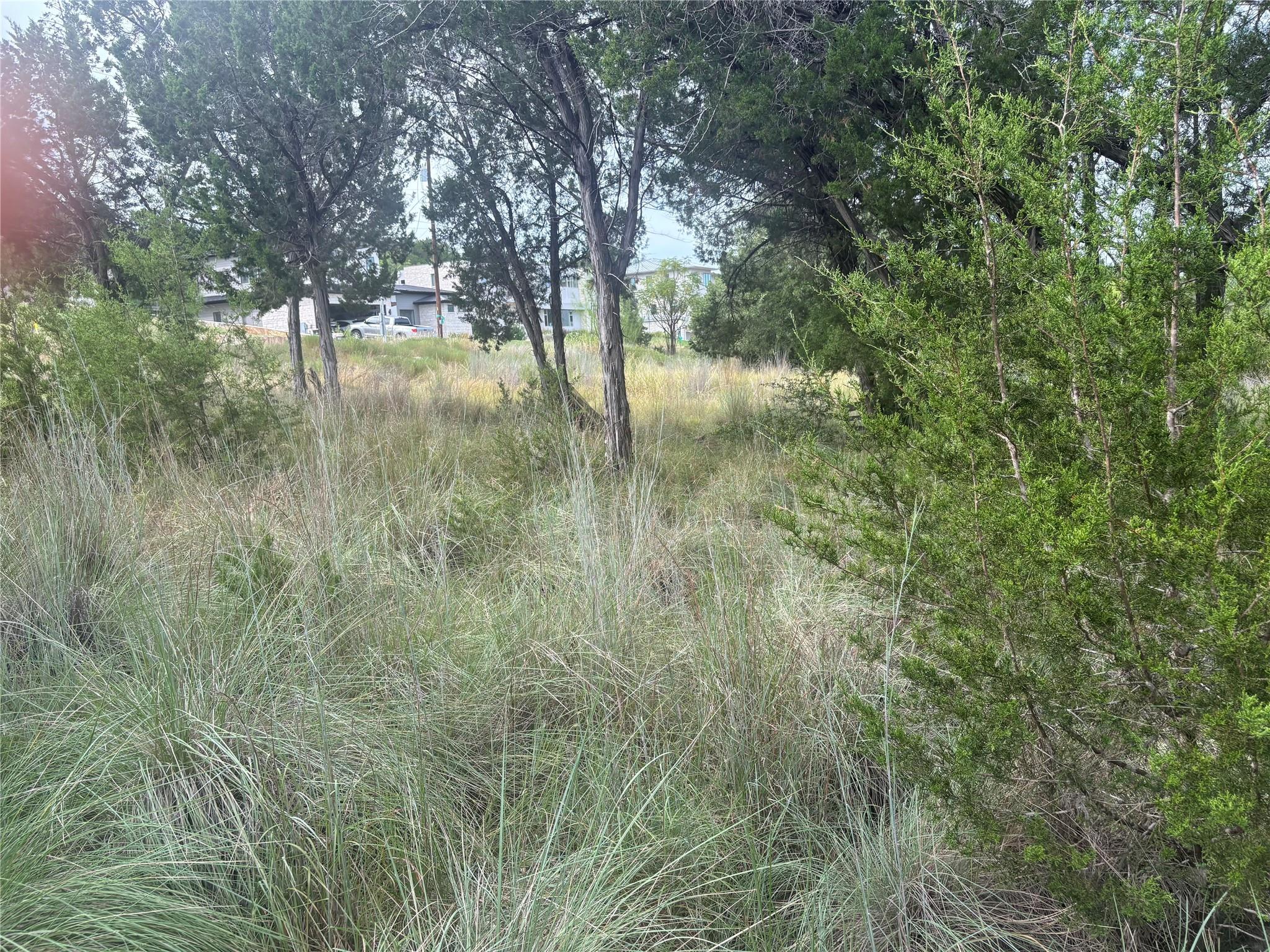 1803 Lipan Trl, Austin, TX 78733