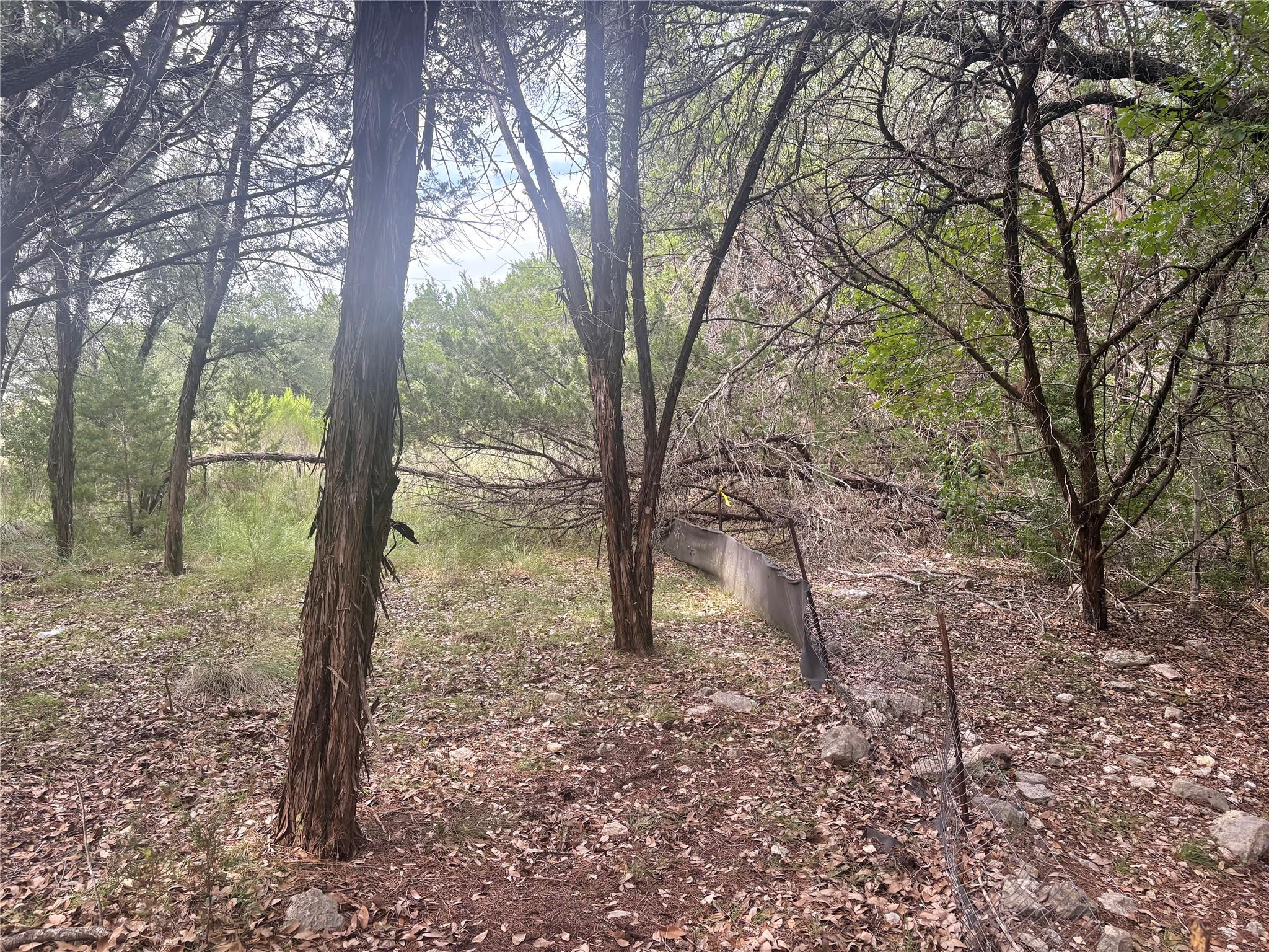 1803 Lipan Trl, Austin, TX 78733