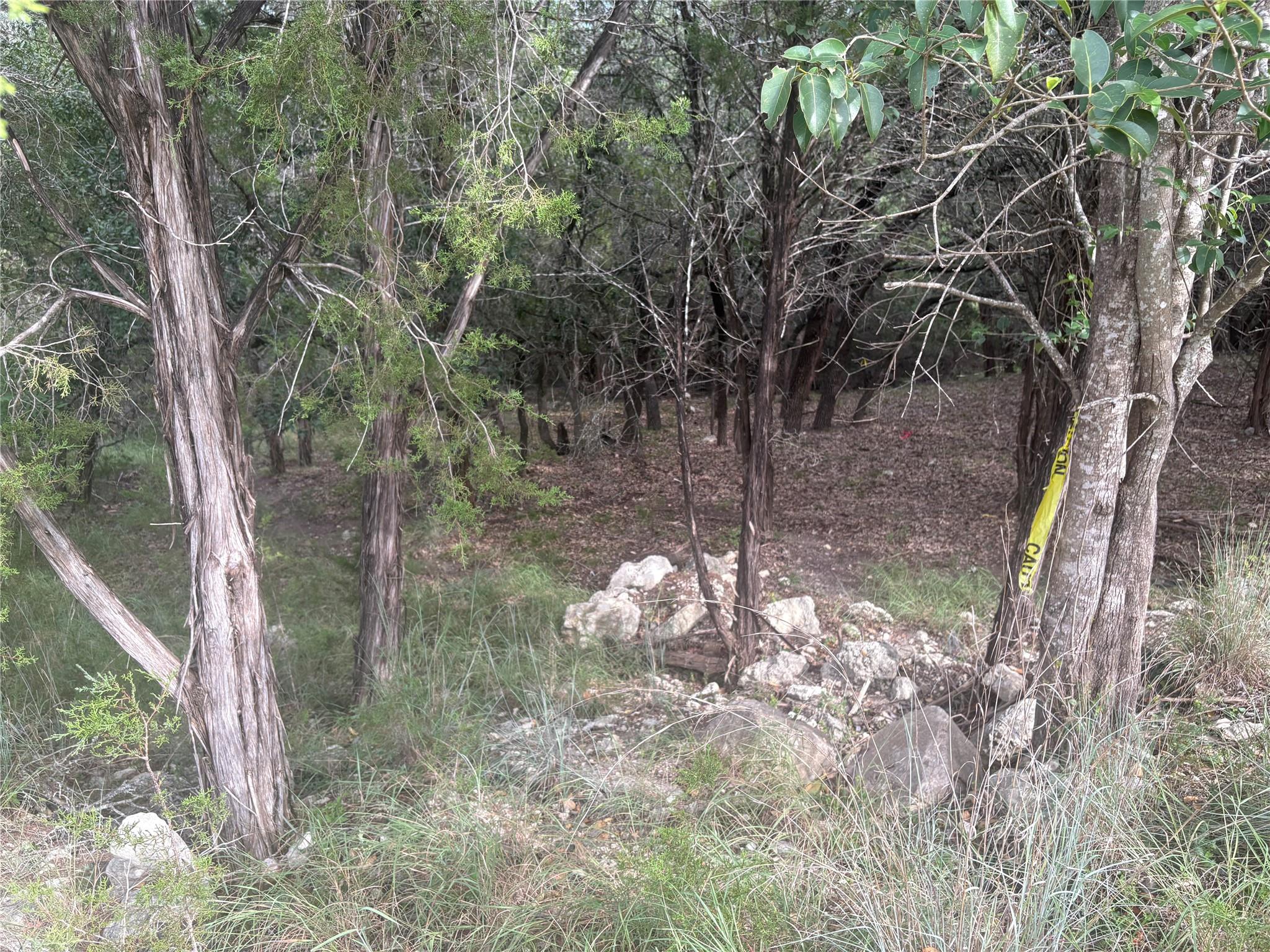 1803 Lipan Trl, Austin, TX 78733