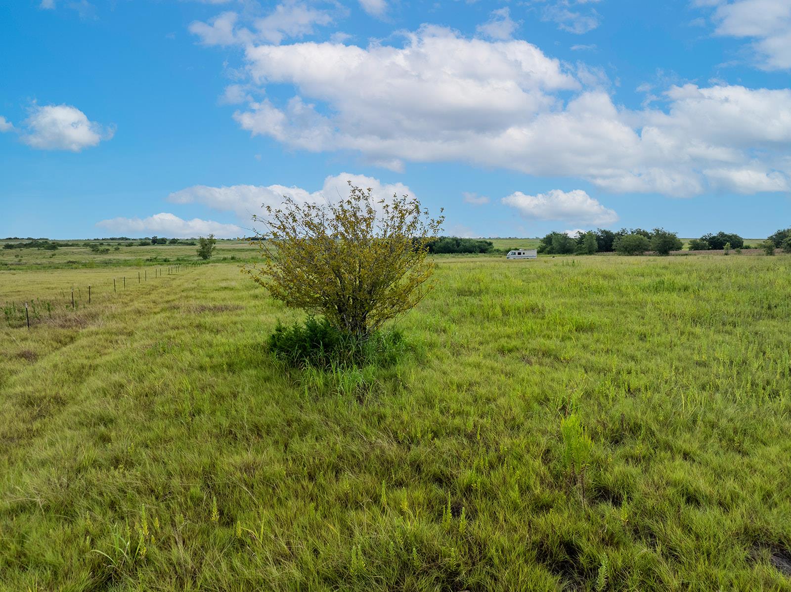 5275 CR 424 Rd, Thrall, TX 76578