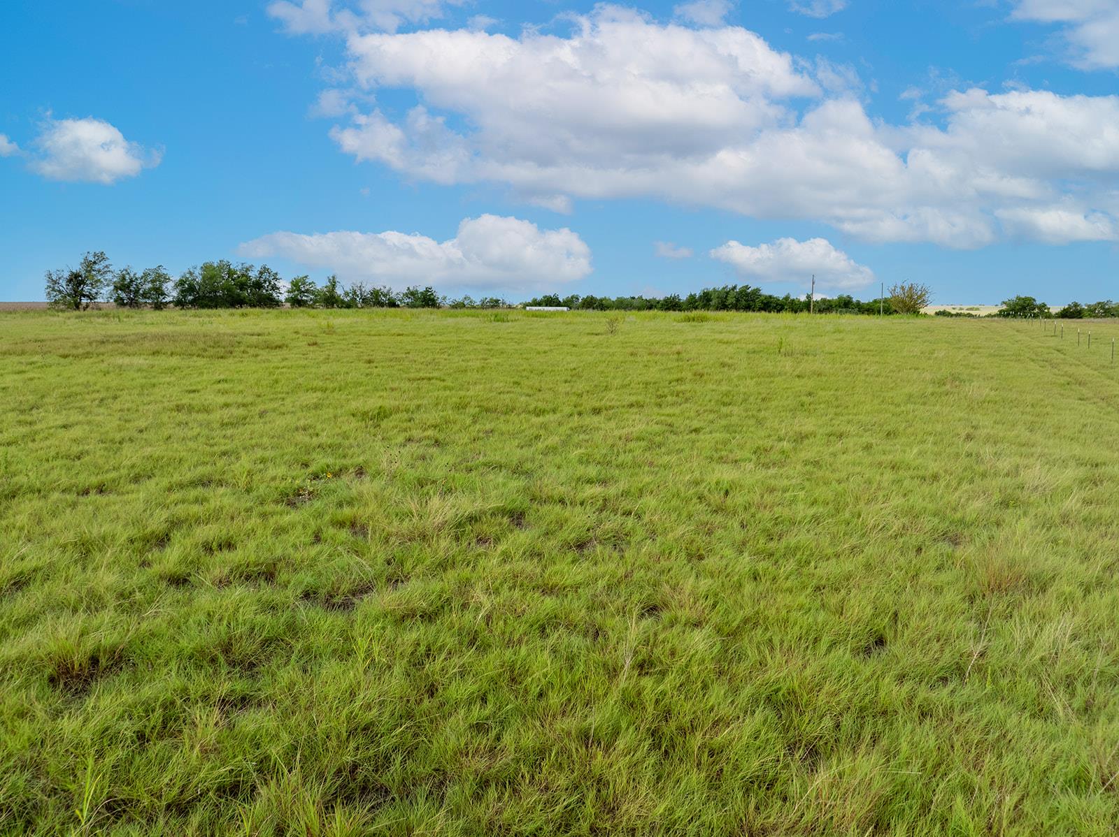 5275 CR 424 Rd, Thrall, TX 76578