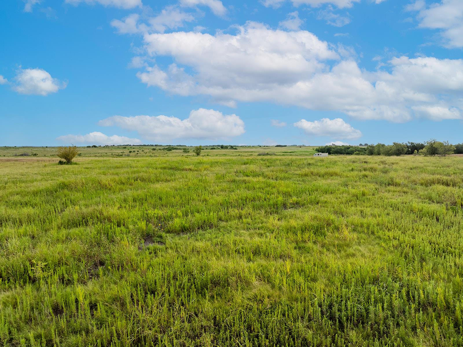 5275 CR 424 Rd, Thrall, TX 76578