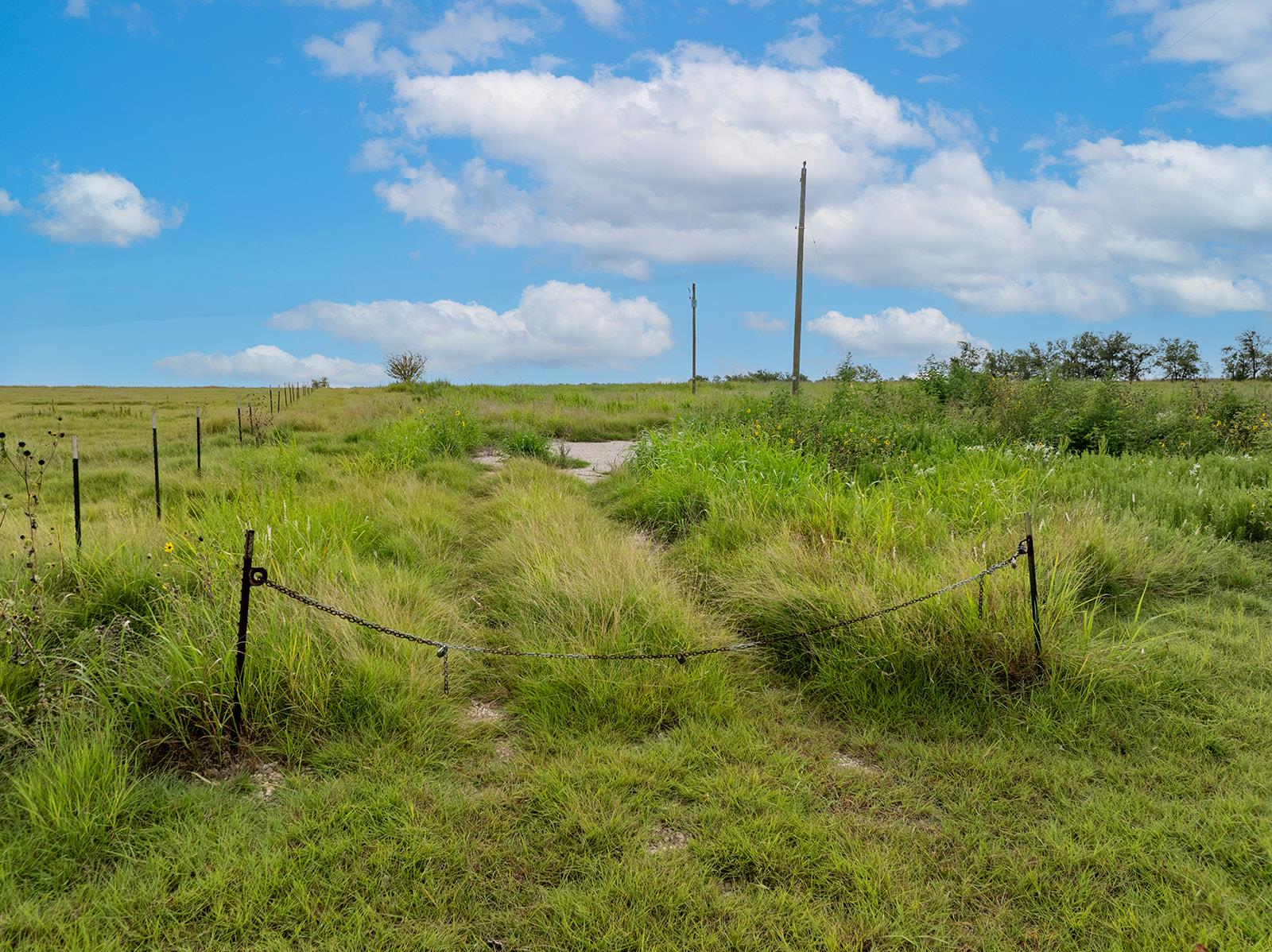 5275 CR 424 Rd, Thrall, TX 76578